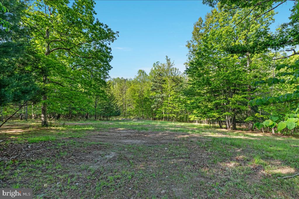 146 LIZZIE MILLS RD, CASTLETON, Virginia 22716, 3 Bedrooms Bedrooms, ,2 BathroomsBathrooms,Residential,14,146 LIZZIE MILLS RD,VARP2002580 MLS # VARP2002580 146 LIZZIE MILLS RD, CASTLETON, Virginia 22716, 3 Bedrooms Bedrooms, ,2 BathroomsBathrooms,Residential,14,146 LIZZIE MILLS RD,VARP2002580 MLS # VARP2002580