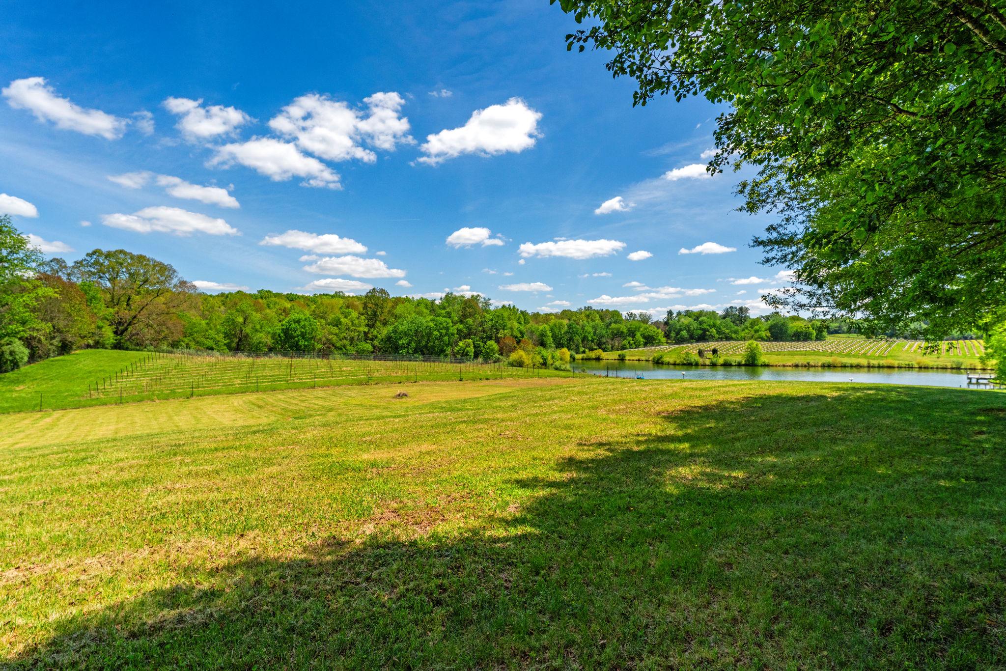 80 NARMADA LN, AMISSVILLE, Virginia 20106, 4 Bedrooms Bedrooms, ,4 BathroomsBathrooms,Residential,14,80 NARMADA LN,VARP2002640 MLS # VARP2002640