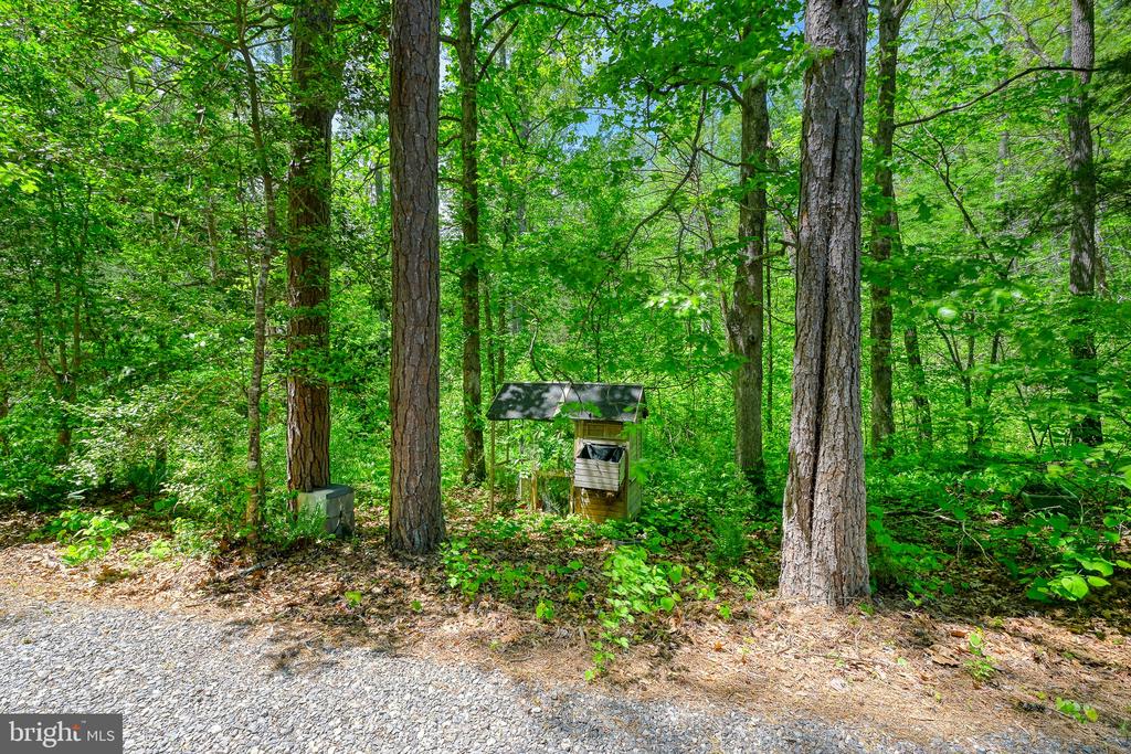 14584 CROSS COUNTY RD, MINERAL, Virginia 23117, 2 Bedrooms Bedrooms, ,1 BathroomBathrooms,Residential,14,14584 CROSS COUNTY RD,VALA2009826 MLS # VALA2009826 14584 CROSS COUNTY RD, MINERAL, Virginia 23117, 2 Bedrooms Bedrooms, ,1 BathroomBathrooms,Residential,14,14584 CROSS COUNTY RD,VALA2009826 MLS # VALA2009826