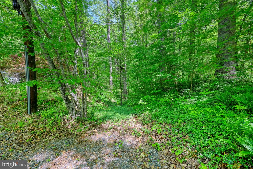 14584 CROSS COUNTY RD, MINERAL, Virginia 23117, 2 Bedrooms Bedrooms, ,1 BathroomBathrooms,Residential,14,14584 CROSS COUNTY RD,VALA2009826 MLS # VALA2009826 14584 CROSS COUNTY RD, MINERAL, Virginia 23117, 2 Bedrooms Bedrooms, ,1 BathroomBathrooms,Residential,14,14584 CROSS COUNTY RD,VALA2009826 MLS # VALA2009826