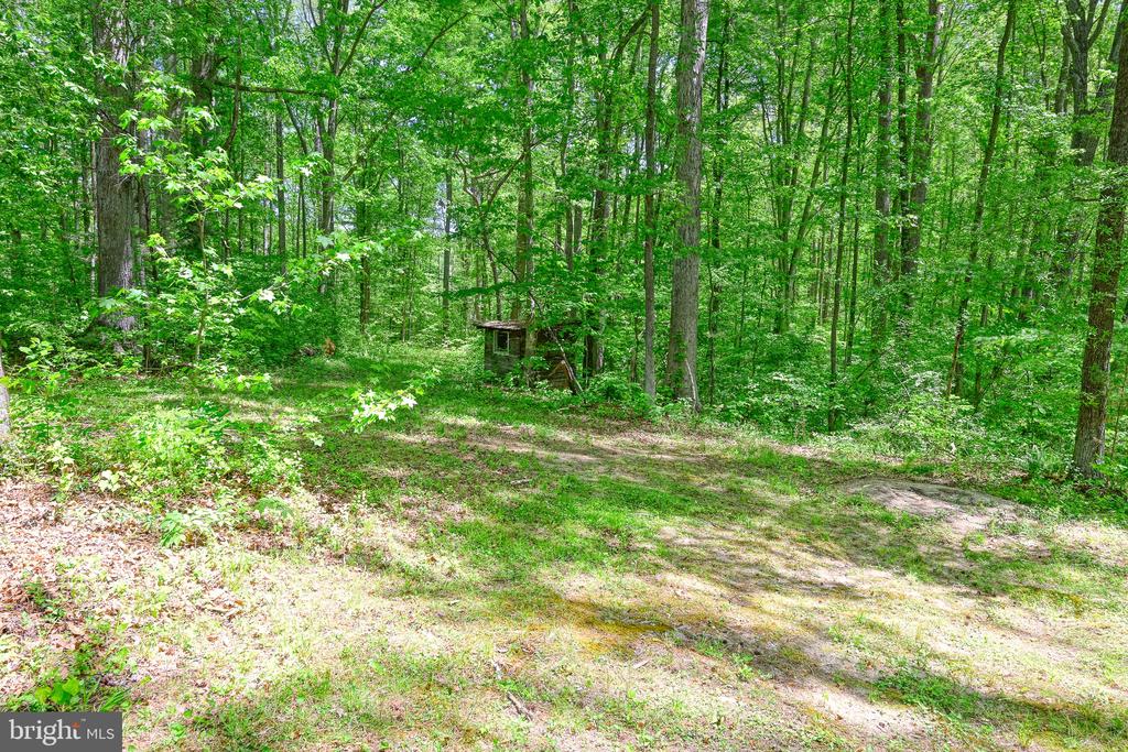 14584 CROSS COUNTY RD, MINERAL, Virginia 23117, 2 Bedrooms Bedrooms, ,1 BathroomBathrooms,Residential,14,14584 CROSS COUNTY RD,VALA2009826 MLS # VALA2009826 14584 CROSS COUNTY RD, MINERAL, Virginia 23117, 2 Bedrooms Bedrooms, ,1 BathroomBathrooms,Residential,14,14584 CROSS COUNTY RD,VALA2009826 MLS # VALA2009826