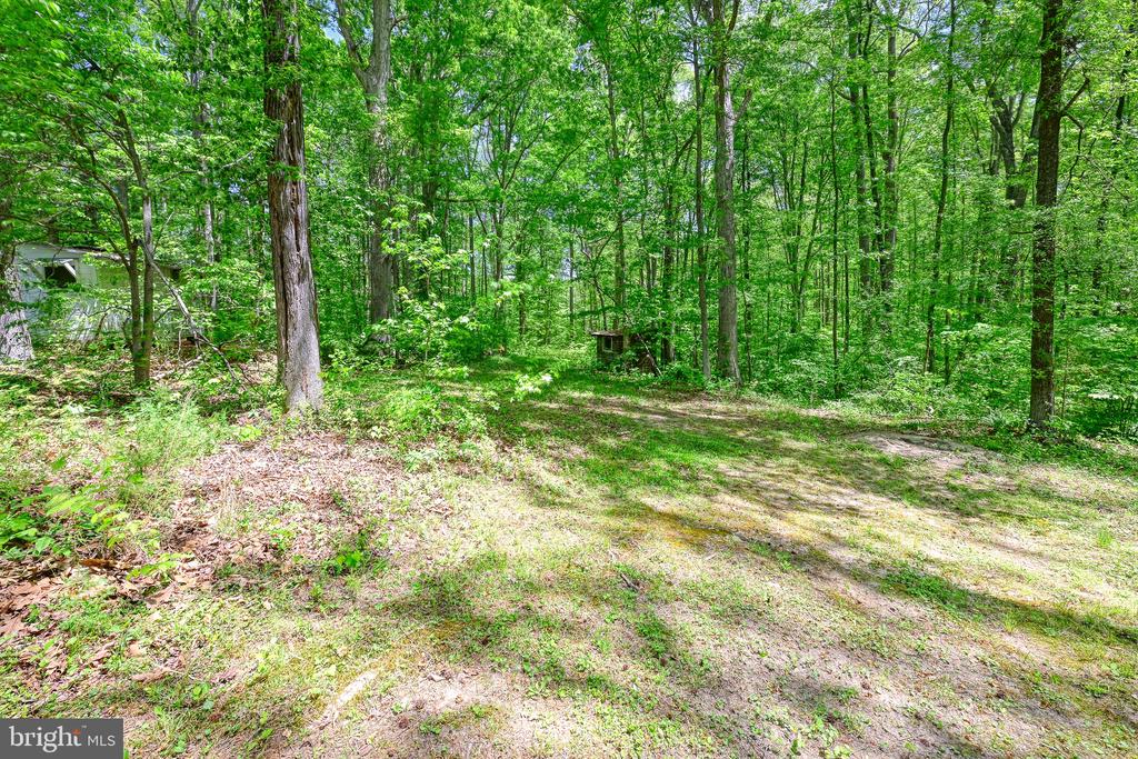 14584 CROSS COUNTY RD, MINERAL, Virginia 23117, 2 Bedrooms Bedrooms, ,1 BathroomBathrooms,Residential,14,14584 CROSS COUNTY RD,VALA2009826 MLS # VALA2009826 14584 CROSS COUNTY RD, MINERAL, Virginia 23117, 2 Bedrooms Bedrooms, ,1 BathroomBathrooms,Residential,14,14584 CROSS COUNTY RD,VALA2009826 MLS # VALA2009826