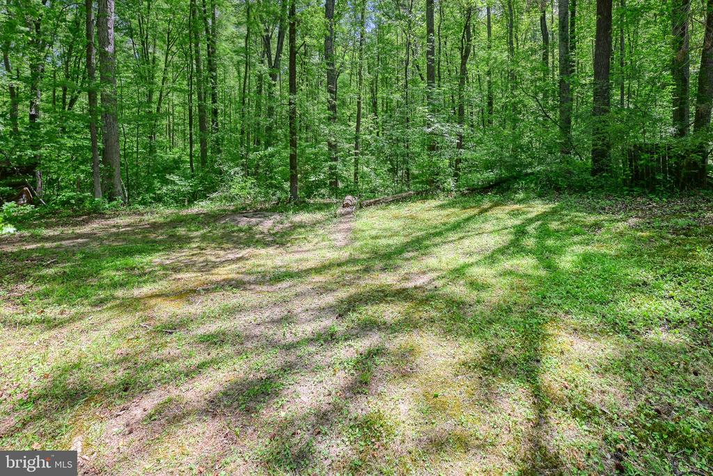 14584 CROSS COUNTY RD, MINERAL, Virginia 23117, 2 Bedrooms Bedrooms, ,1 BathroomBathrooms,Residential,14,14584 CROSS COUNTY RD,VALA2009826 MLS # VALA2009826 14584 CROSS COUNTY RD, MINERAL, Virginia 23117, 2 Bedrooms Bedrooms, ,1 BathroomBathrooms,Residential,14,14584 CROSS COUNTY RD,VALA2009826 MLS # VALA2009826