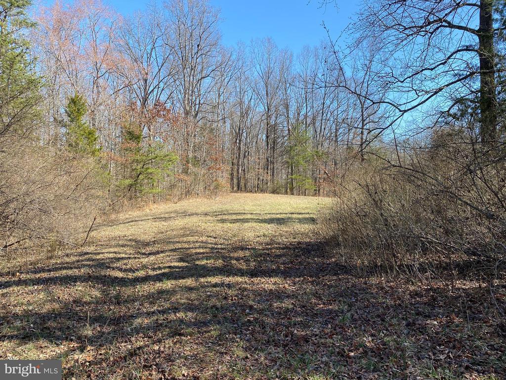 0 WHITES FARM LOT 2 DONLON, CULPEPER, Virginia 22701, ,Land,14,0 WHITES FARM LOT 2 DONLON,VACU2013576 MLS # VACU2013576