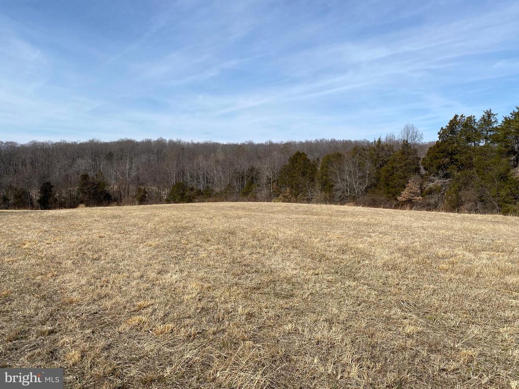 0 WHITES FARM LOT 2 DONLON, CULPEPER, Virginia 22701, ,Land,14,0 WHITES FARM LOT 2 DONLON,VACU2013576 MLS # VACU2013576