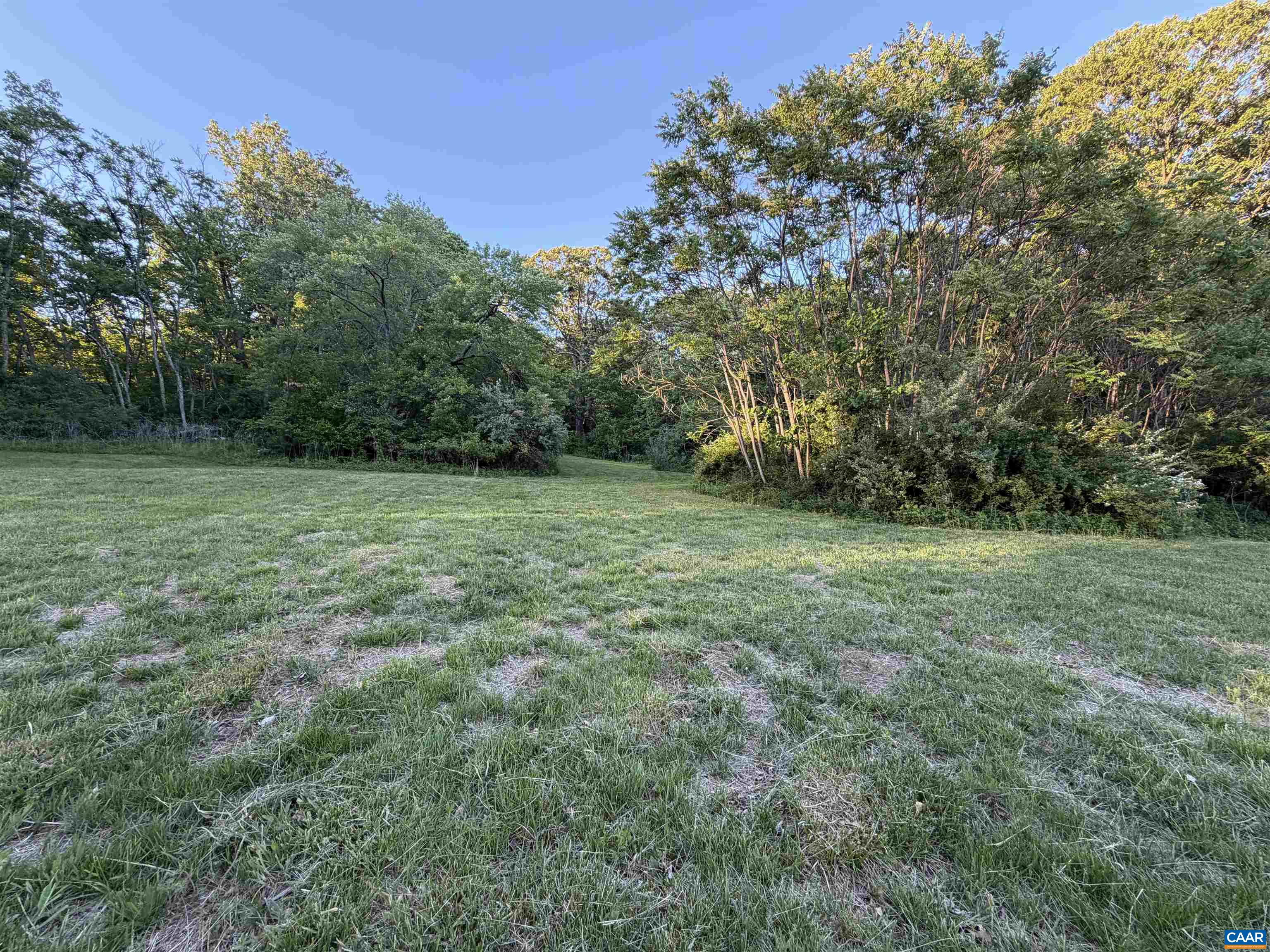0 CARPENTER DR, NORTH GARDEN, Virginia 22959, ,Land,14,0 CARPENTER DR,676953 MLS # 676953 0 CARPENTER DR, NORTH GARDEN, Virginia 22959, ,Land,14,0 CARPENTER DR,676953 MLS # 676953