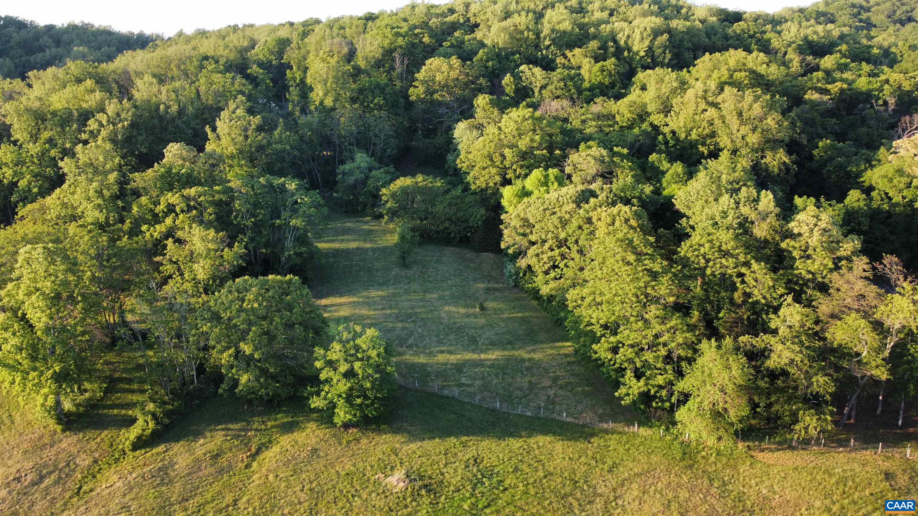 0 CARPENTER DR, NORTH GARDEN, Virginia 22959, ,Land,14,0 CARPENTER DR,676953 MLS # 676953 0 CARPENTER DR, NORTH GARDEN, Virginia 22959, ,Land,14,0 CARPENTER DR,676953 MLS # 676953