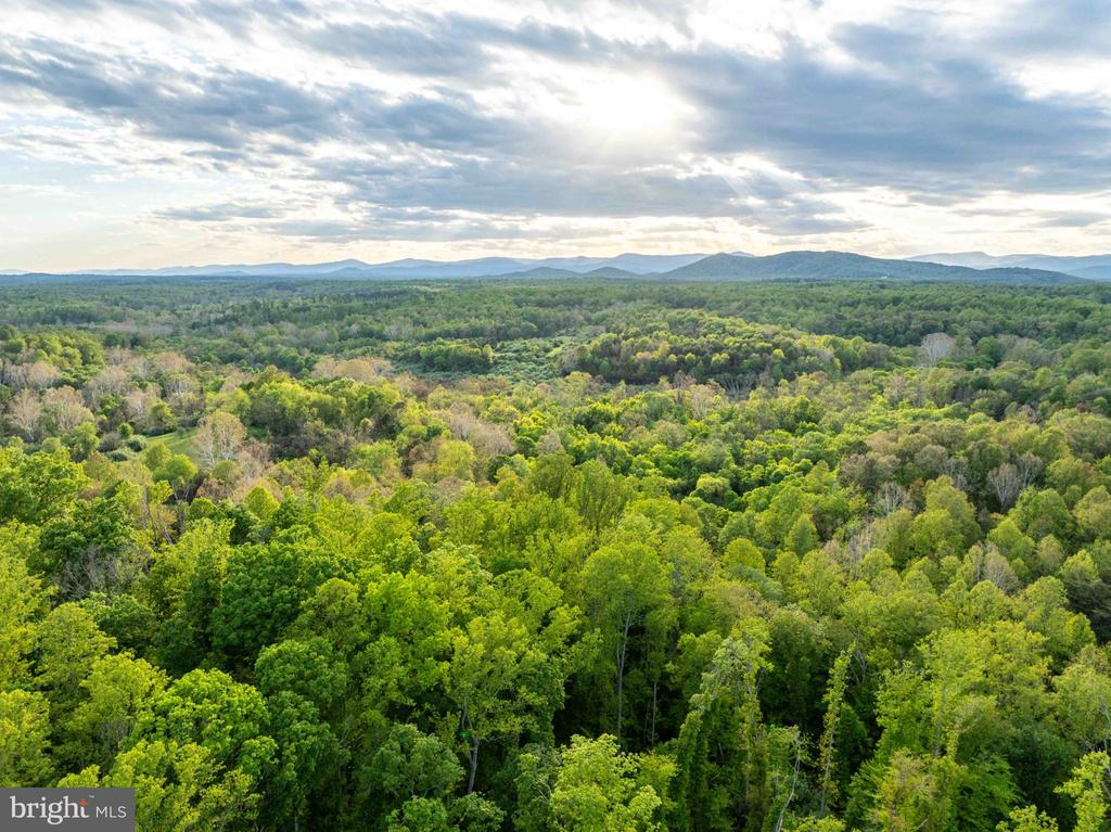 1 LOUISE LN, RAPIDAN, Virginia 22733, ,Farm,14,1 LOUISE LN,VACU2013610 MLS # VACU2013610