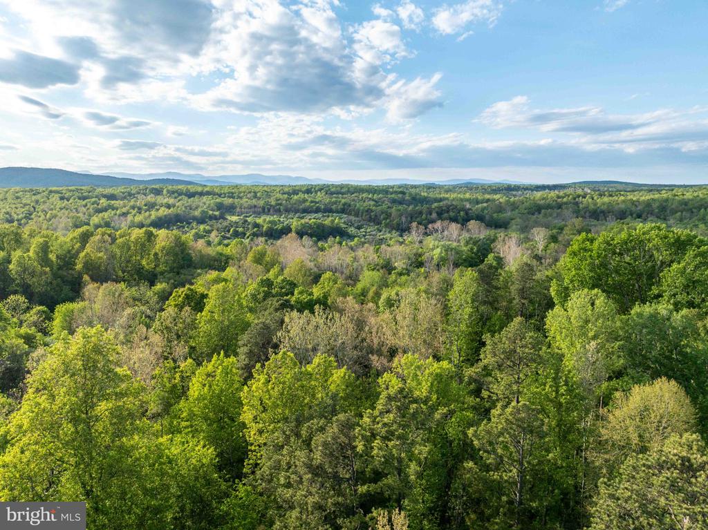 1 LOUISE LN, RAPIDAN, Virginia 22733, ,Farm,14,1 LOUISE LN,VACU2013610 MLS # VACU2013610