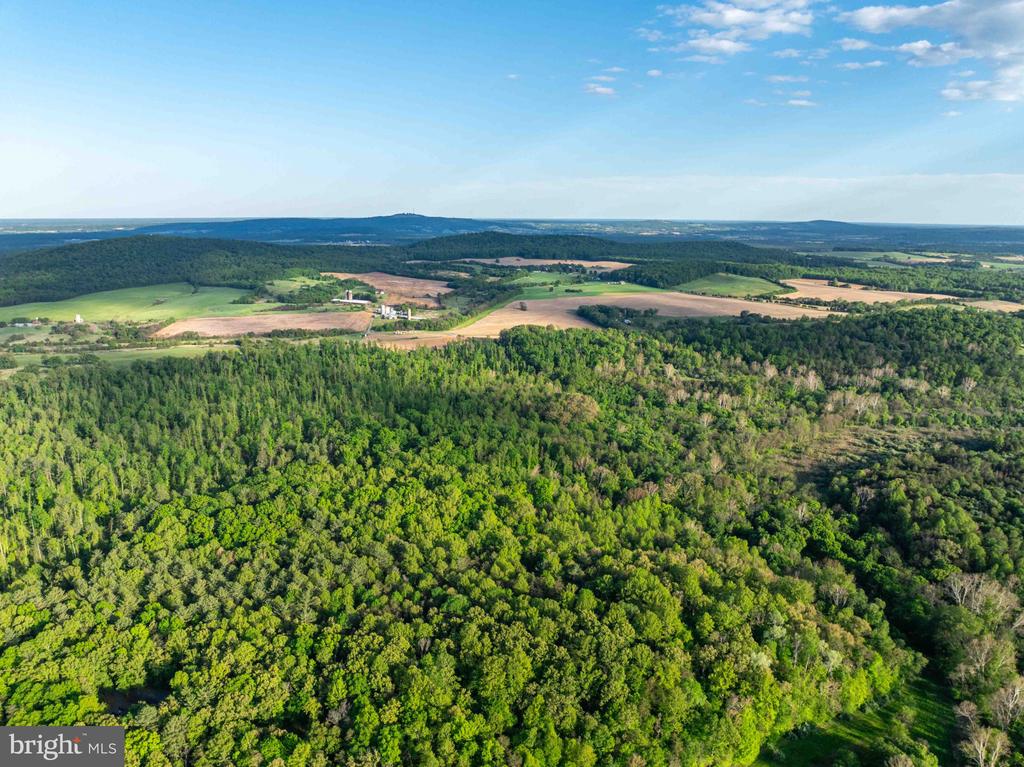 1 LOUISE LN, RAPIDAN, Virginia 22733, ,Farm,14,1 LOUISE LN,VACU2013610 MLS # VACU2013610