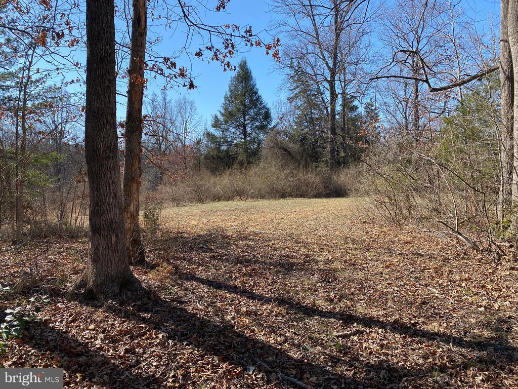 0 WHITES FARM LANE, CULPEPER, Virginia 22701, ,Land,14,0 WHITES FARM LANE,VACU2013584 MLS # VACU2013584