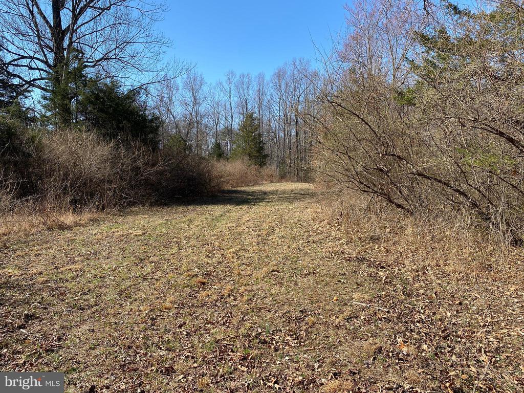 0 WHITES FARM LANE, CULPEPER, Virginia 22701, ,Land,14,0 WHITES FARM LANE,VACU2013584 MLS # VACU2013584