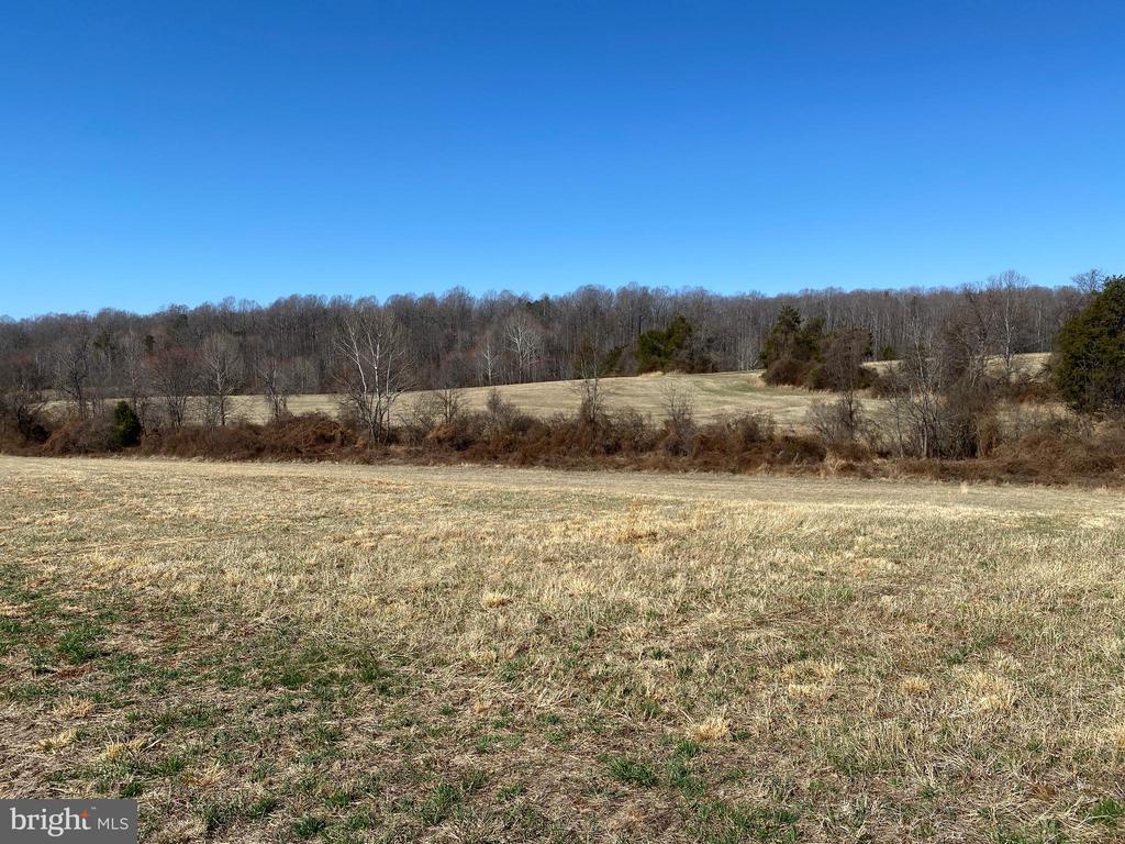 0 WHITES FARM LANE, CULPEPER, Virginia 22701, ,Land,14,0 WHITES FARM LANE,VACU2013584 MLS # VACU2013584