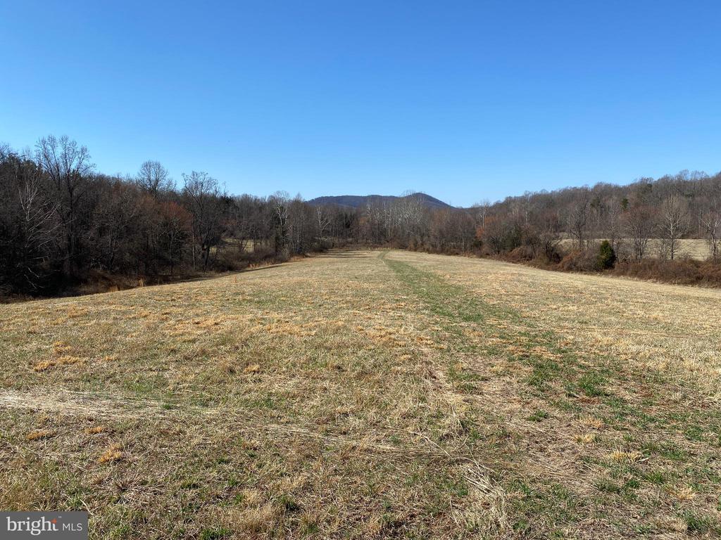 0 WHITES FARM LANE RESIDUE, CULPEPER, Virginia 22701, ,Land,14,0 WHITES FARM LANE RESIDUE,VACU2013582 MLS # VACU2013582