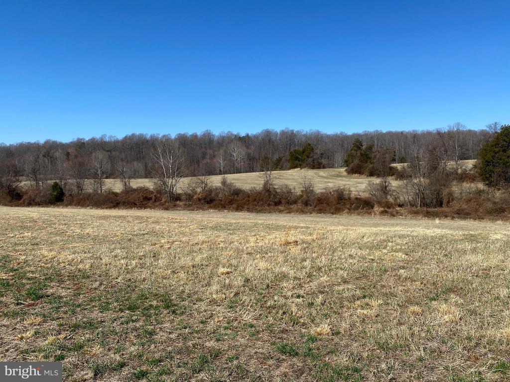 0 WHITES FARM LANE RESIDUE, CULPEPER, Virginia 22701, ,Land,14,0 WHITES FARM LANE RESIDUE,VACU2013582 MLS # VACU2013582