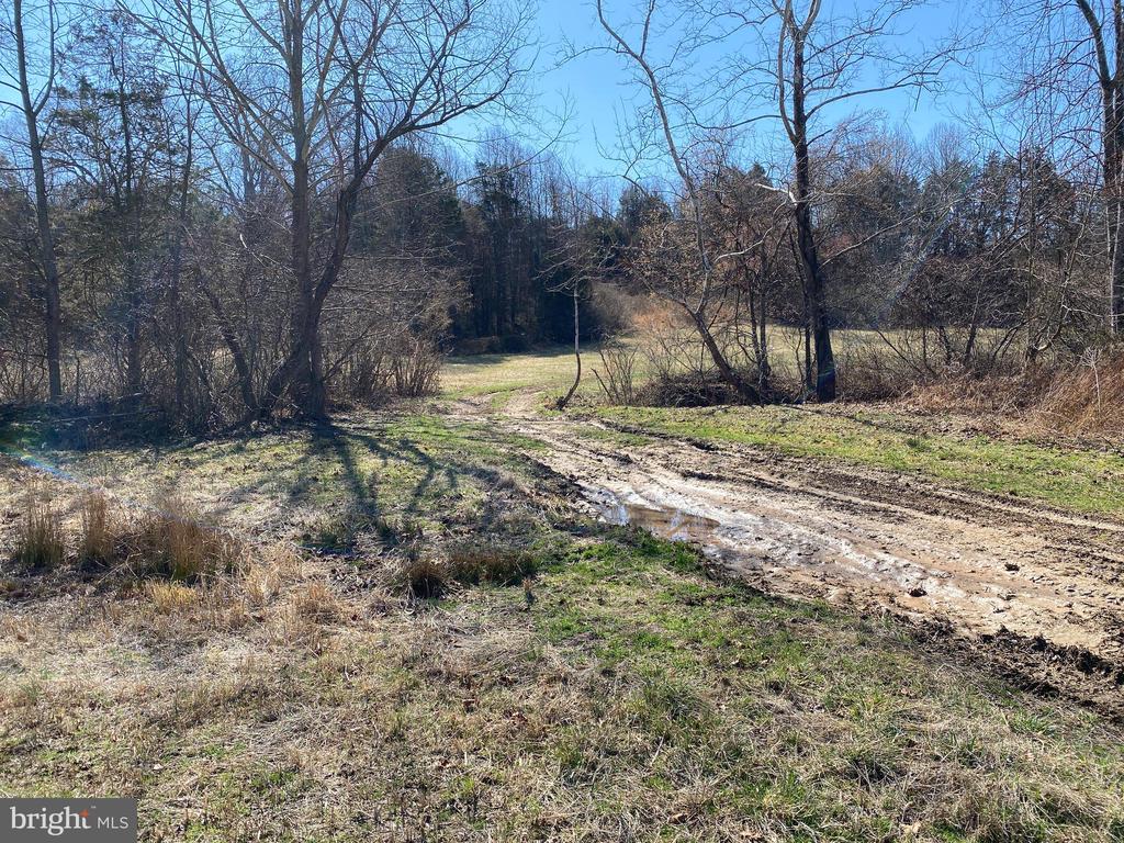 0 WHITES FARM LANE RESIDUE, CULPEPER, Virginia 22701, ,Land,14,0 WHITES FARM LANE RESIDUE,VACU2013582 MLS # VACU2013582