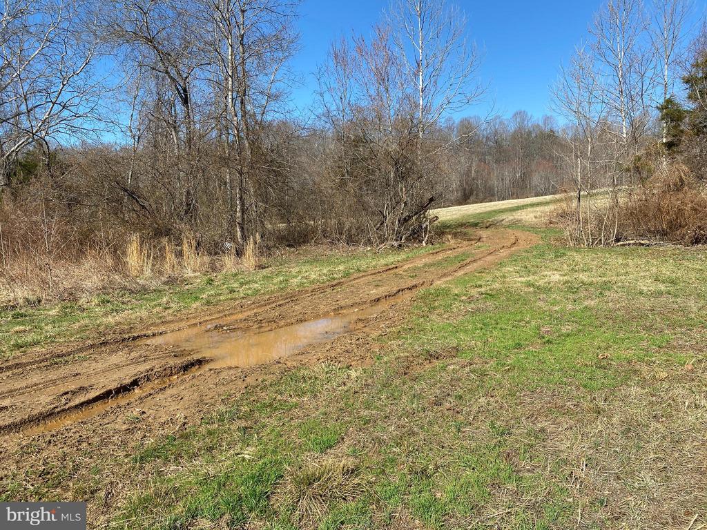 0 WHITES FARM LANE RESIDUE, CULPEPER, Virginia 22701, ,Land,14,0 WHITES FARM LANE RESIDUE,VACU2013582 MLS # VACU2013582