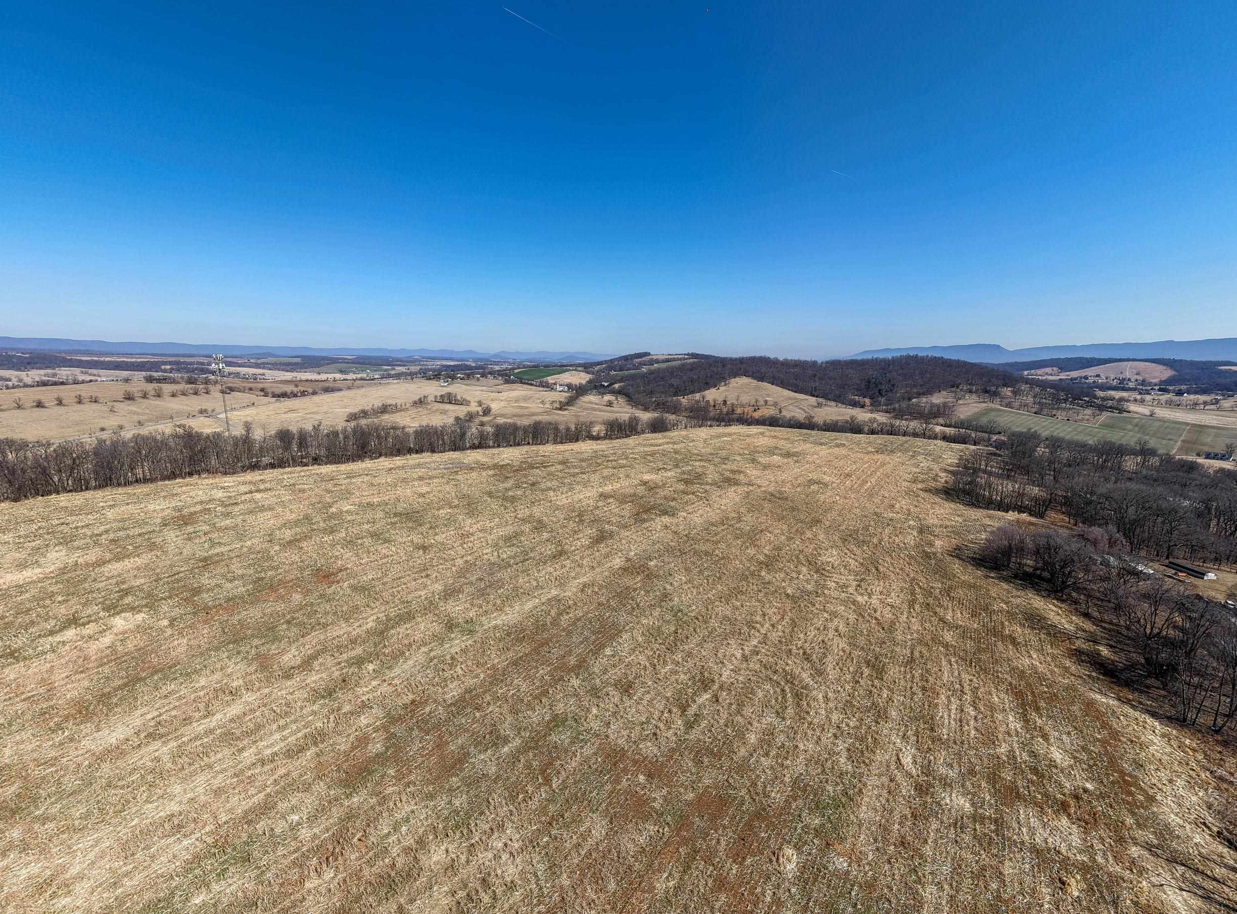 0 NEIGHBORS LN, TIMBERVILLE, Virginia 22853, ,Land,14,0 NEIGHBORS LN,673882 MLS # 673882