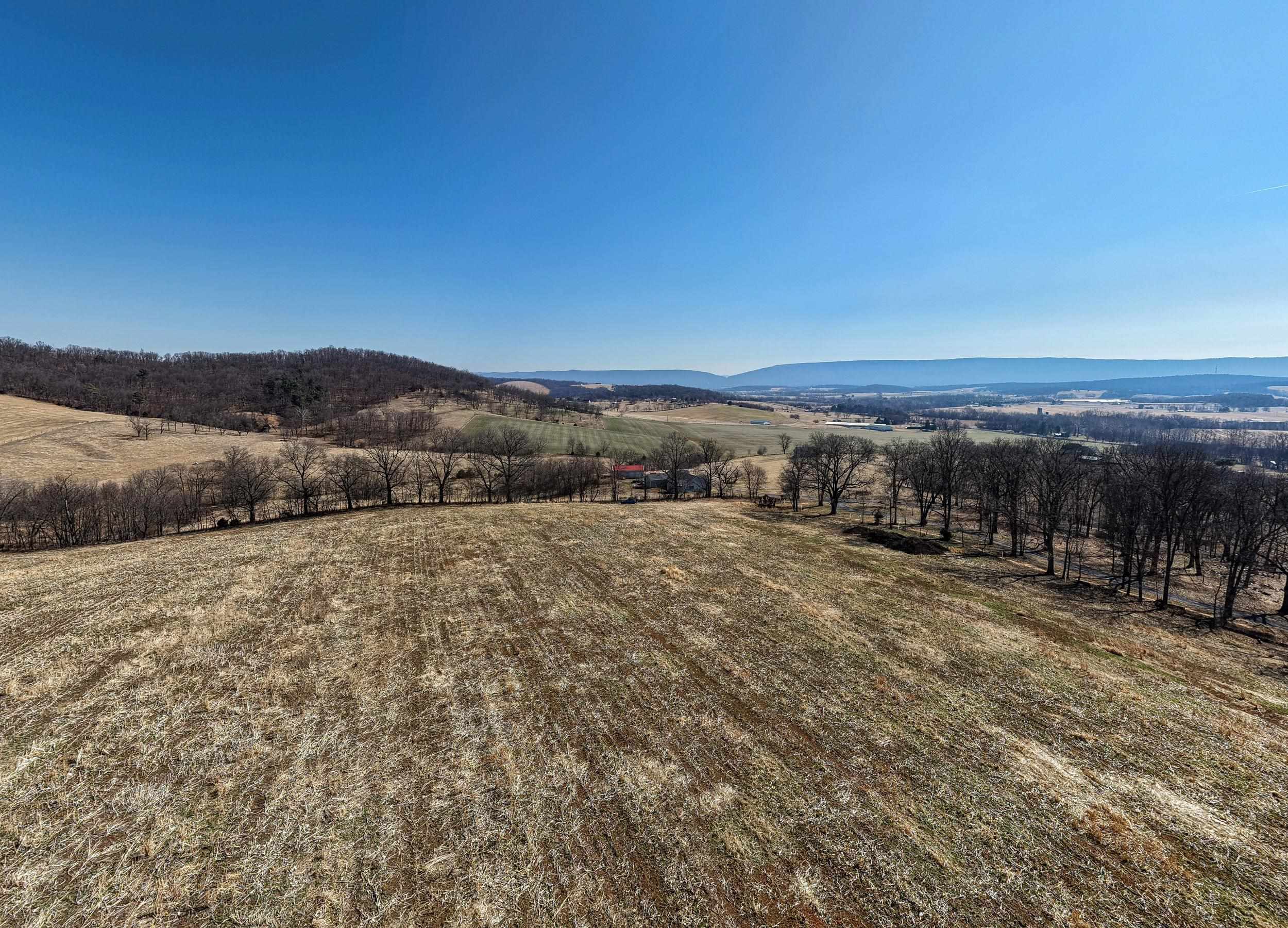 0 NEIGHBORS LN, TIMBERVILLE, Virginia 22853, ,Land,14,0 NEIGHBORS LN,673882 MLS # 673882