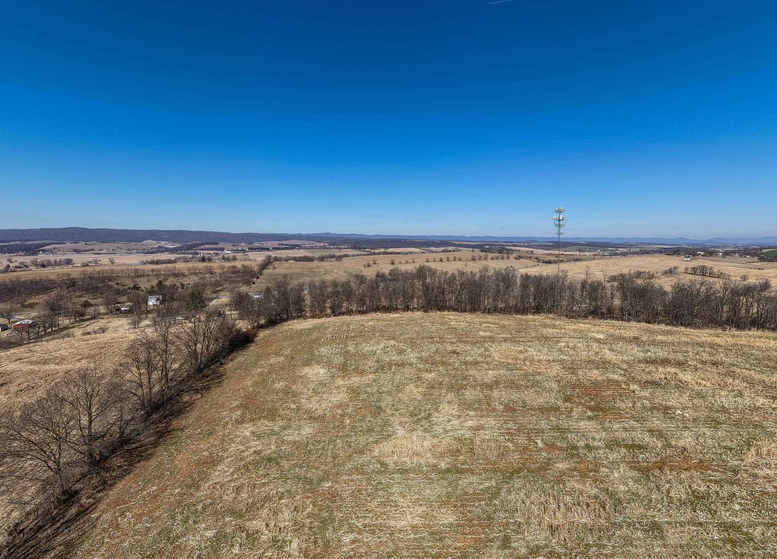 0 NEIGHBORS LN, TIMBERVILLE, Virginia 22853, ,Land,14,0 NEIGHBORS LN,673882 MLS # 673882