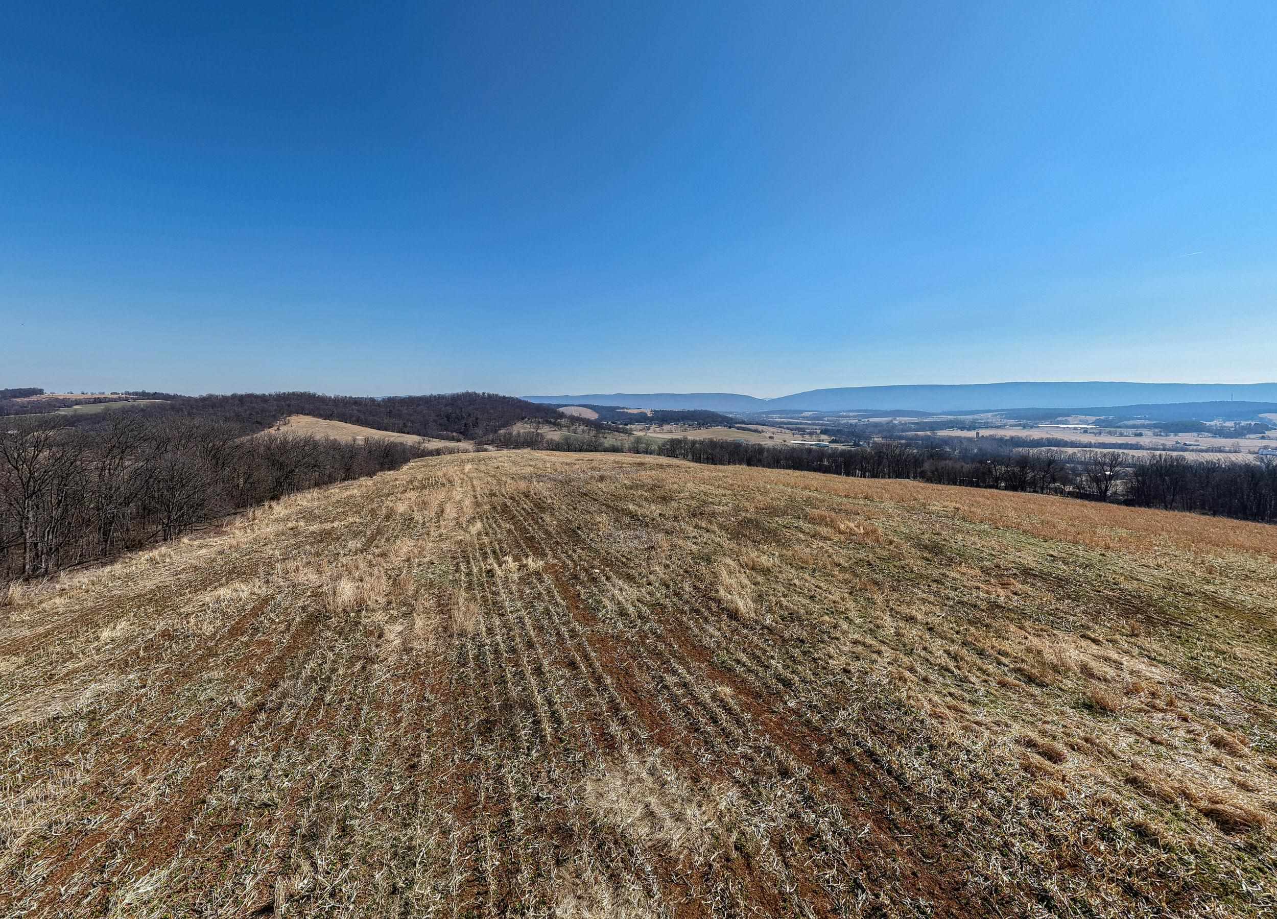 0 NEIGHBORS LN, TIMBERVILLE, Virginia 22853, ,Land,14,0 NEIGHBORS LN,673882 MLS # 673882