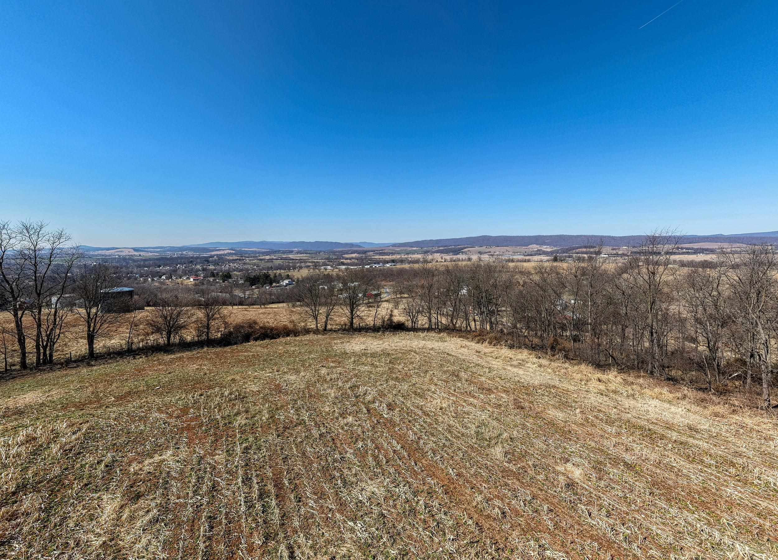 0 NEIGHBORS LN, TIMBERVILLE, Virginia 22853, ,Land,14,0 NEIGHBORS LN,673882 MLS # 673882