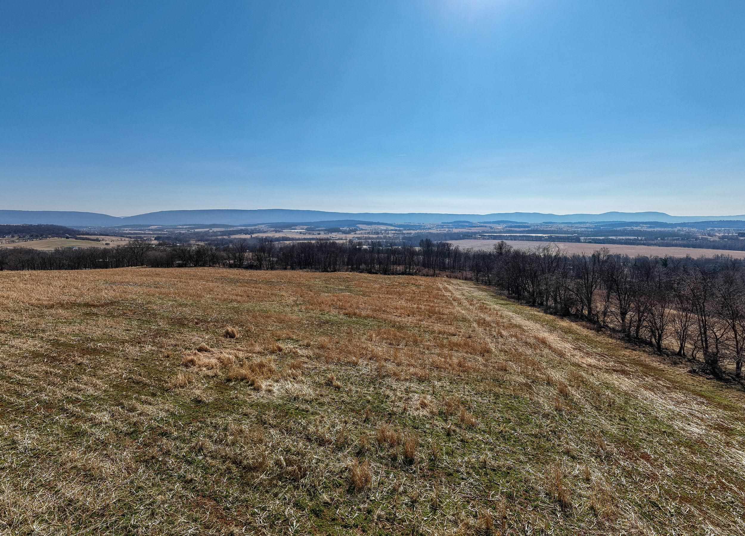 0 NEIGHBORS LN, TIMBERVILLE, Virginia 22853, ,Land,14,0 NEIGHBORS LN,673882 MLS # 673882