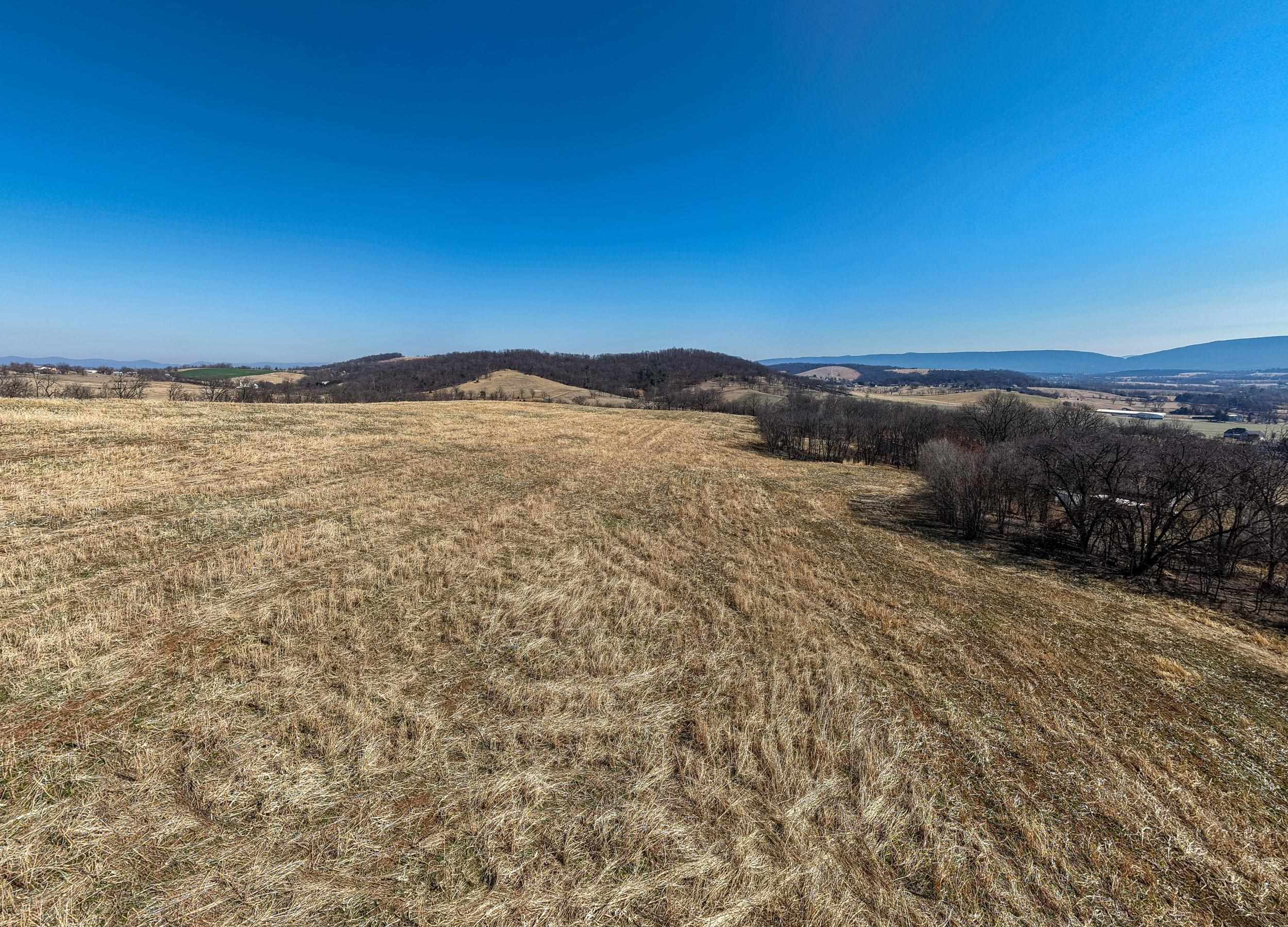 0 NEIGHBORS LN, TIMBERVILLE, Virginia 22853, ,Land,14,0 NEIGHBORS LN,673882 MLS # 673882