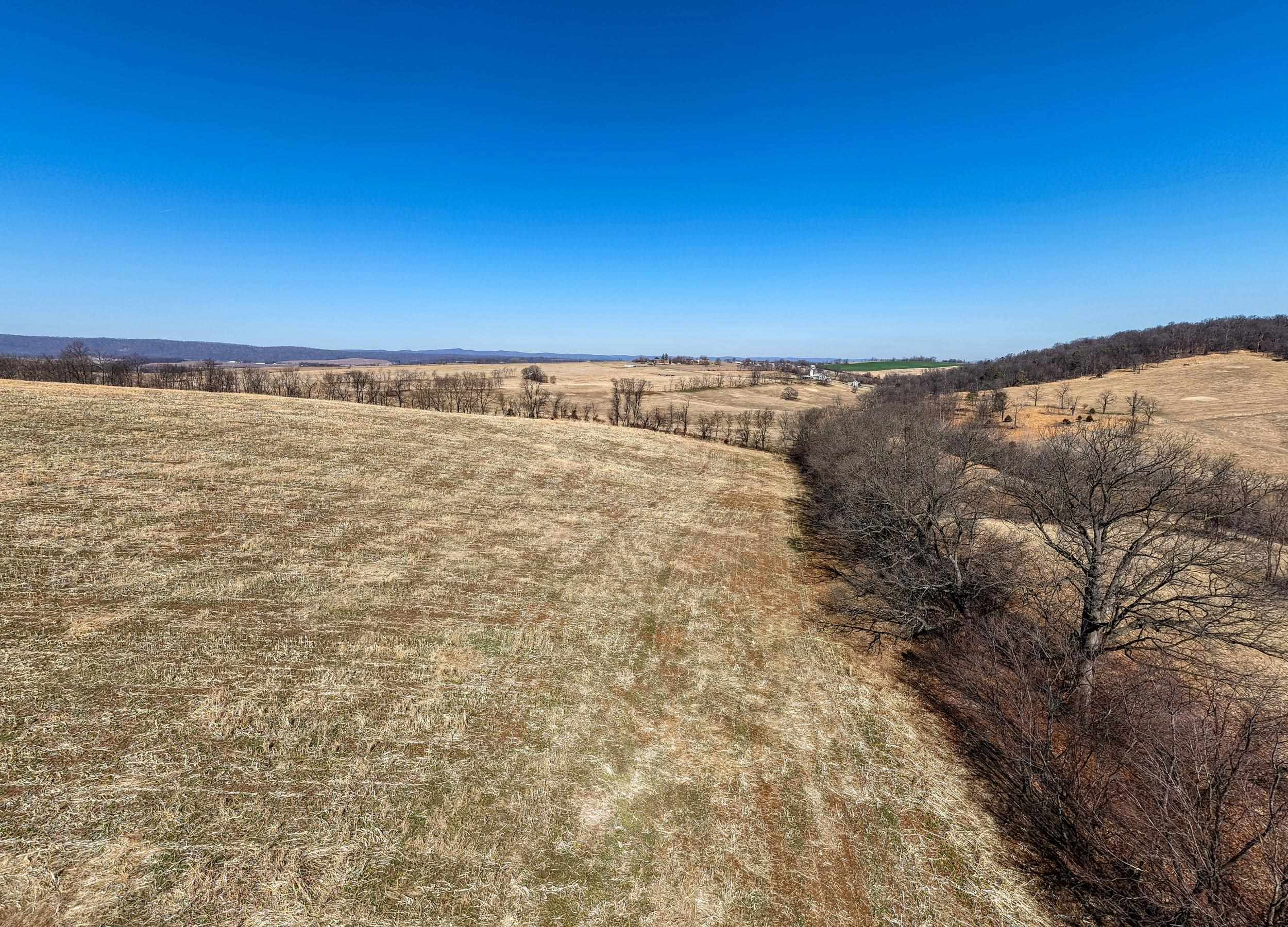 0 NEIGHBORS LN, TIMBERVILLE, Virginia 22853, ,Land,14,0 NEIGHBORS LN,673882 MLS # 673882