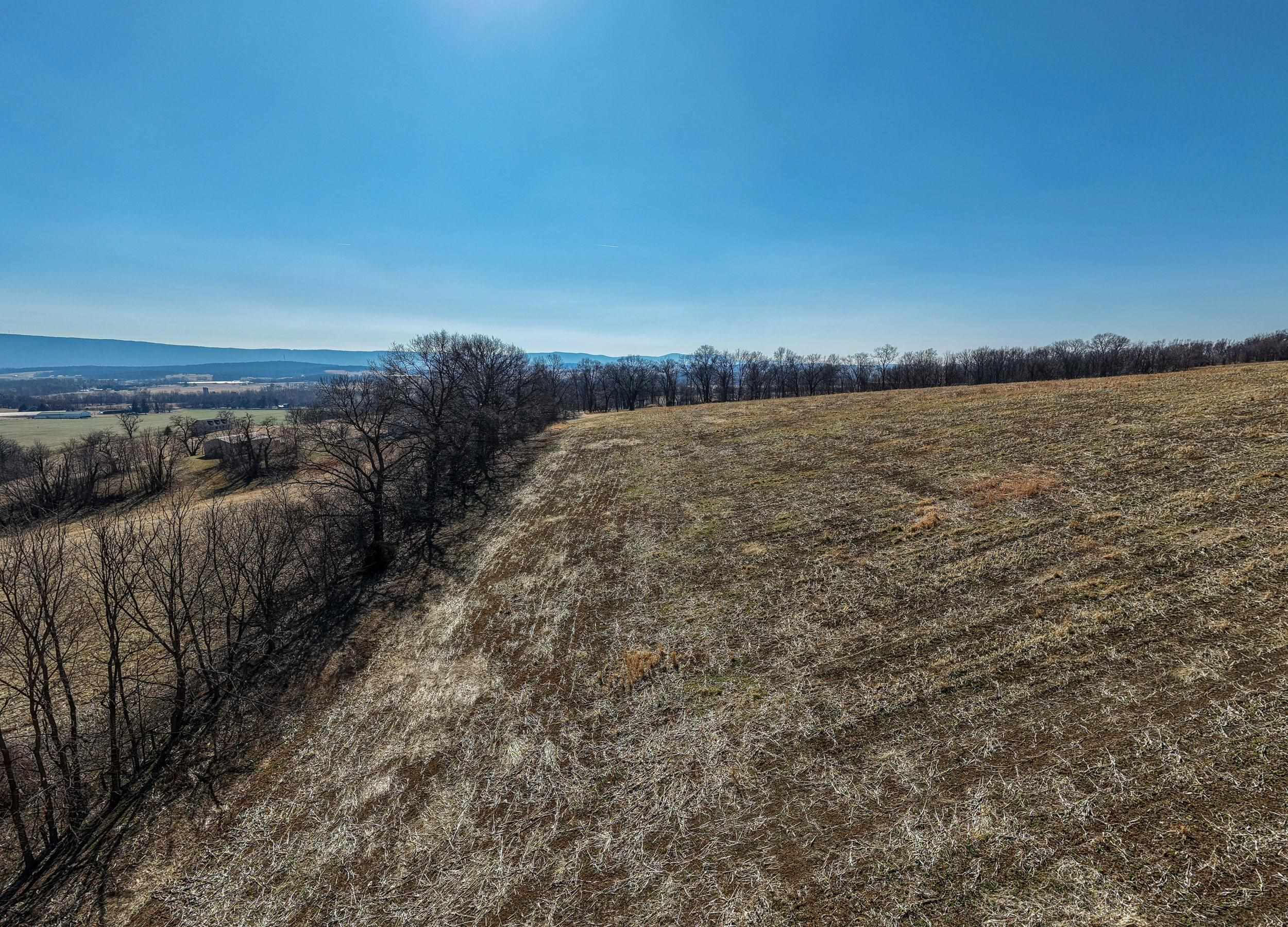 0 NEIGHBORS LN, TIMBERVILLE, Virginia 22853, ,Land,14,0 NEIGHBORS LN,673882 MLS # 673882