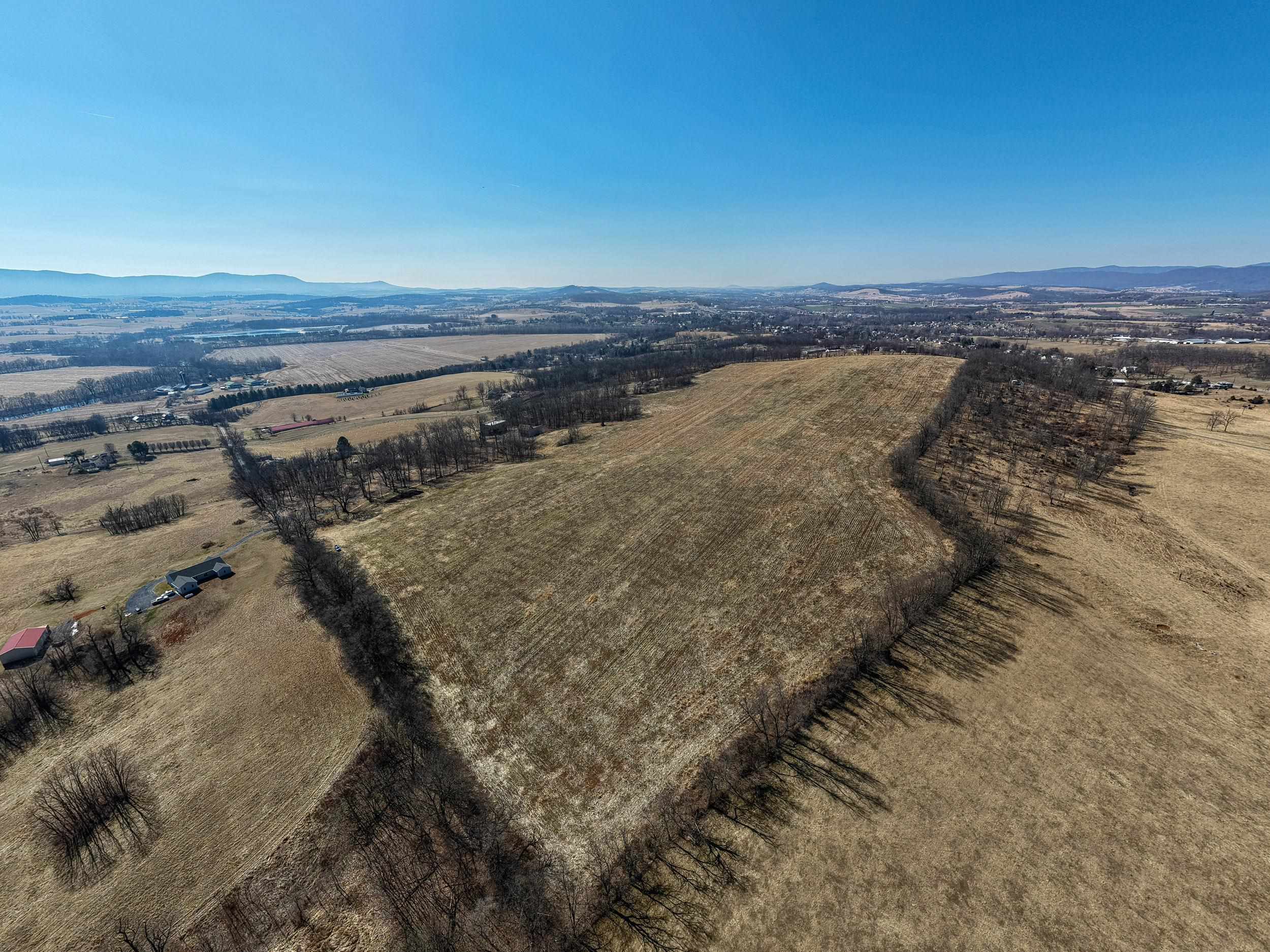 0 NEIGHBORS LN, TIMBERVILLE, Virginia 22853, ,Land,14,0 NEIGHBORS LN,673882 MLS # 673882
