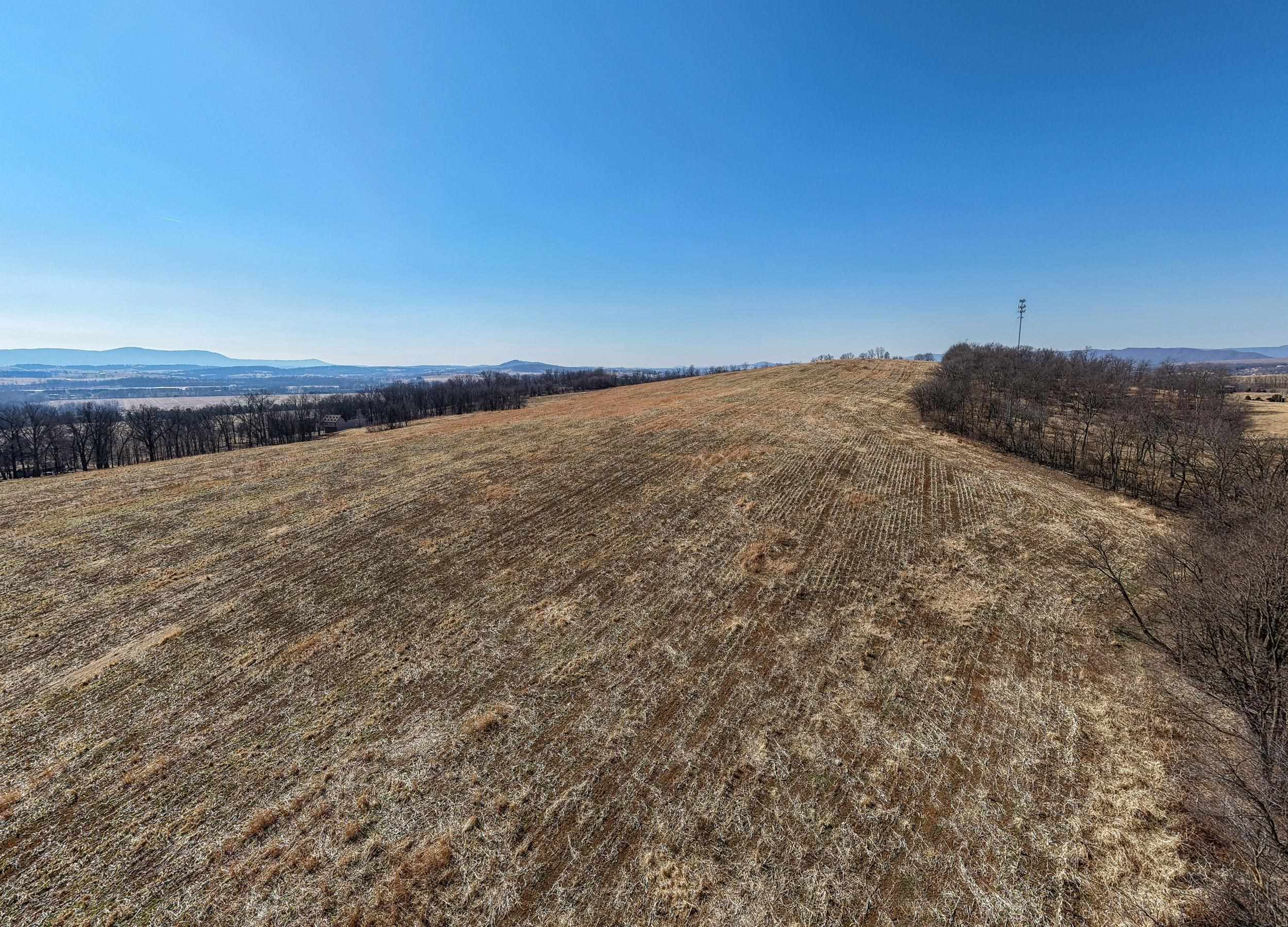 0 NEIGHBORS LN, TIMBERVILLE, Virginia 22853, ,Land,14,0 NEIGHBORS LN,673882 MLS # 673882