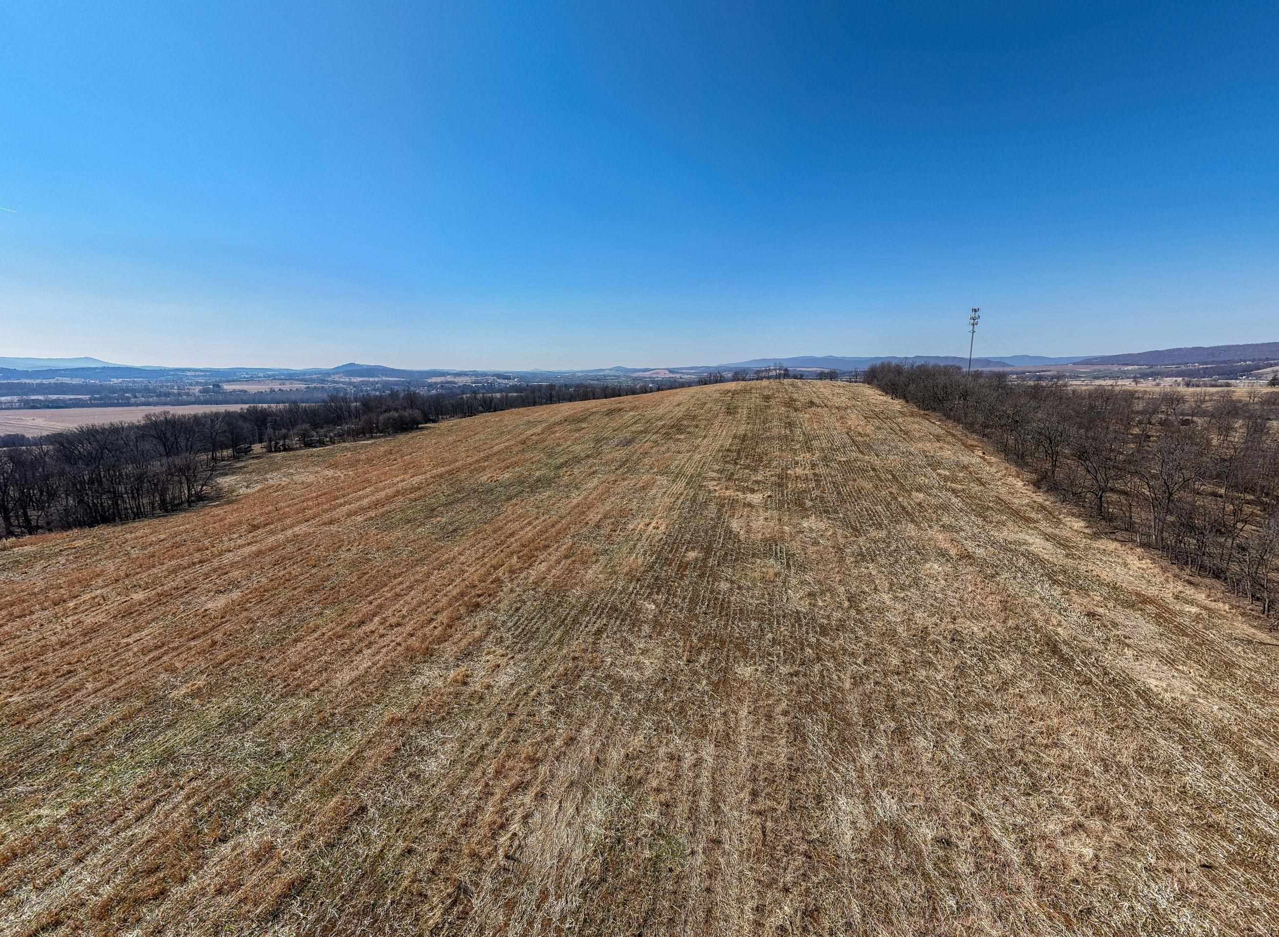 0 NEIGHBORS LN, TIMBERVILLE, Virginia 22853, ,Land,14,0 NEIGHBORS LN,673882 MLS # 673882
