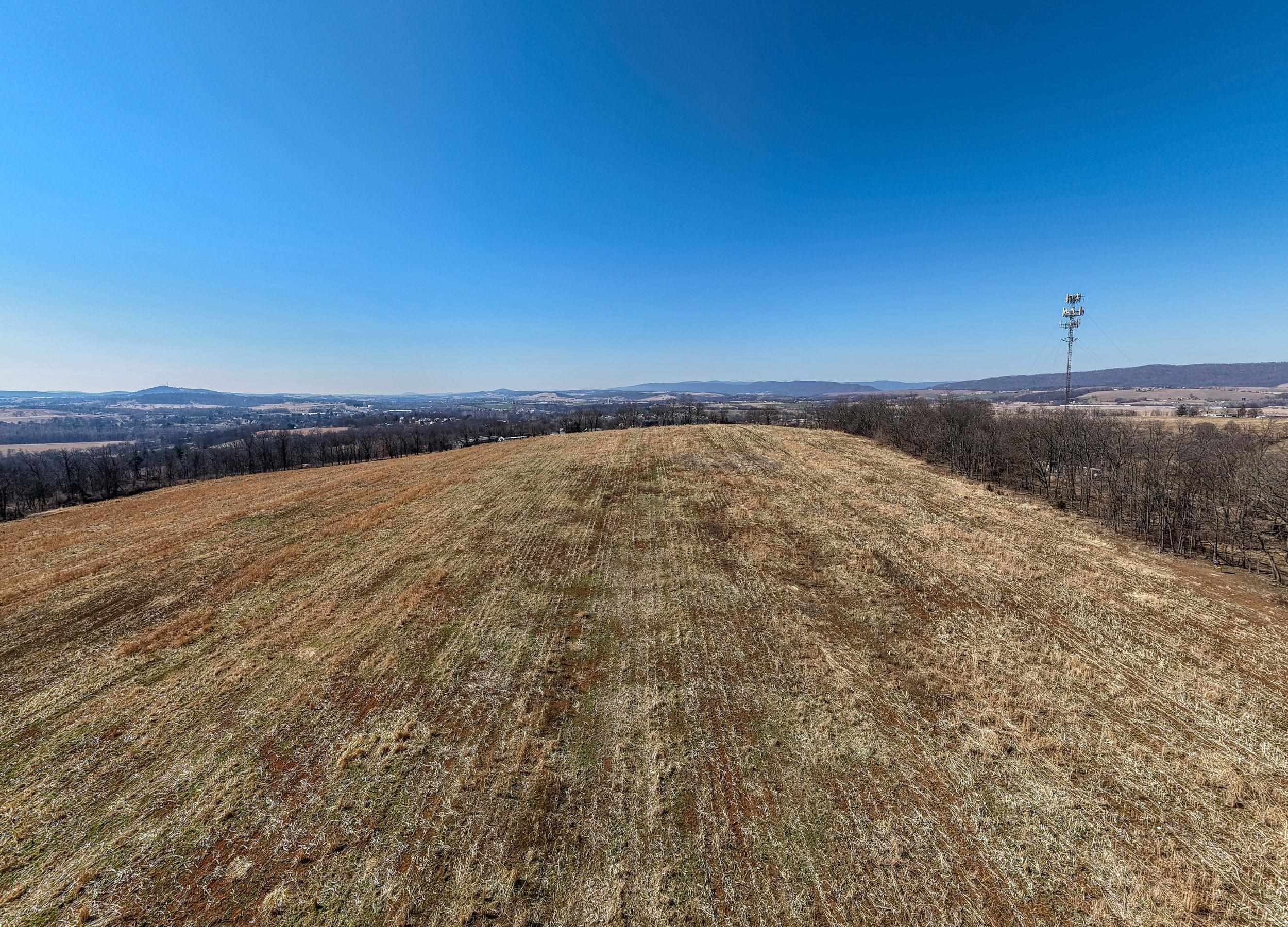 0 NEIGHBORS LN, TIMBERVILLE, Virginia 22853, ,Land,14,0 NEIGHBORS LN,673882 MLS # 673882