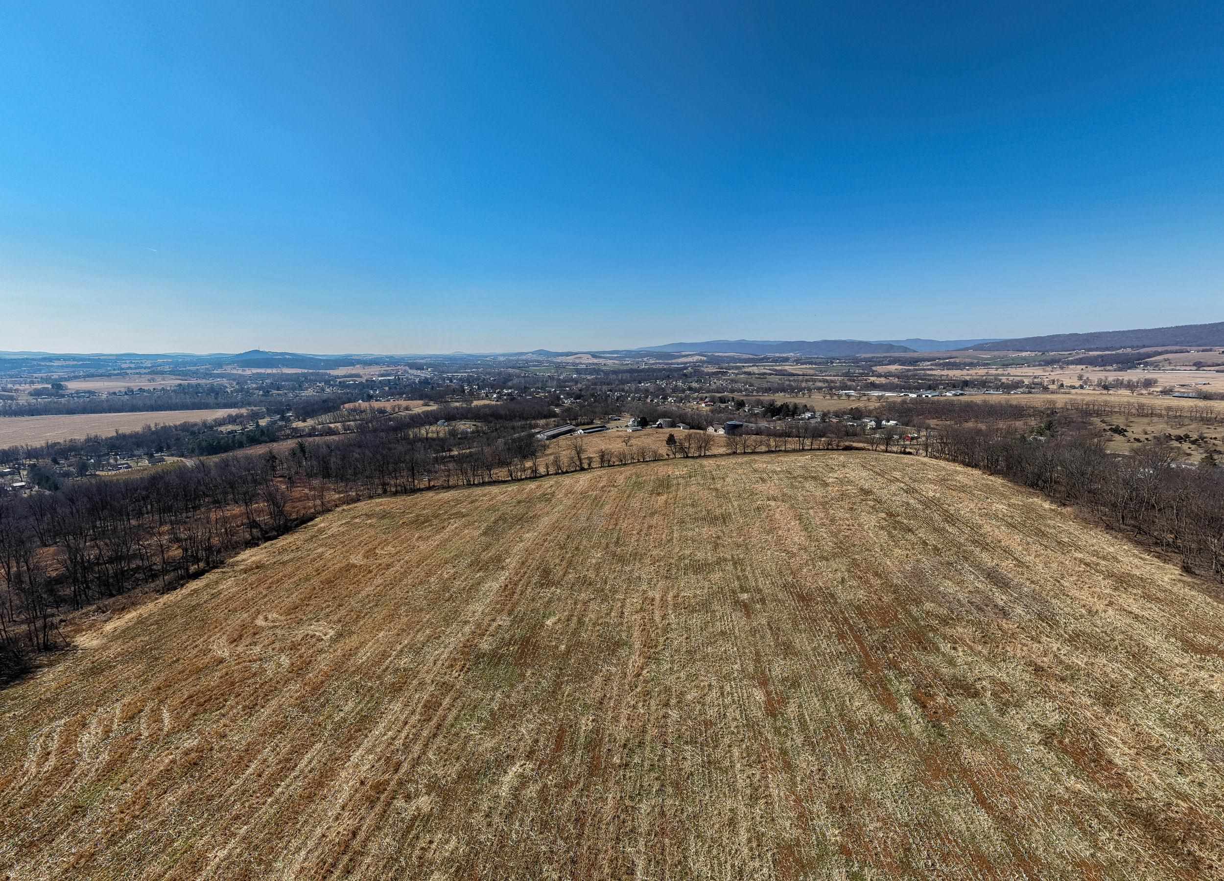 0 NEIGHBORS LN, TIMBERVILLE, Virginia 22853, ,Land,14,0 NEIGHBORS LN,673882 MLS # 673882