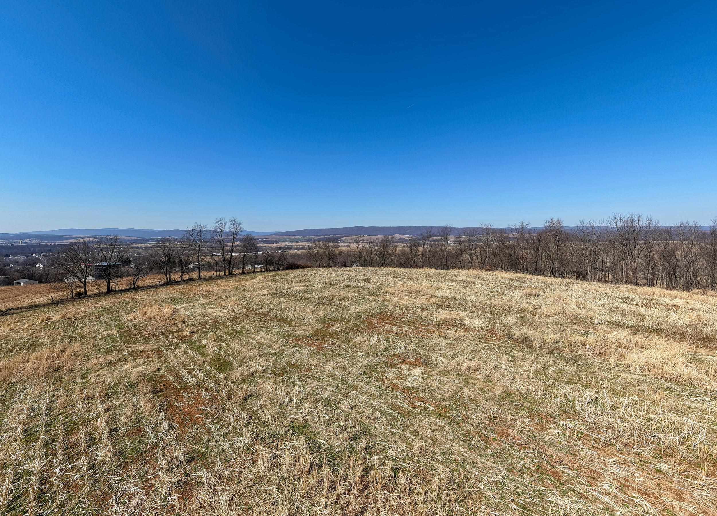 0 NEIGHBORS LN, TIMBERVILLE, Virginia 22853, ,Land,14,0 NEIGHBORS LN,673882 MLS # 673882