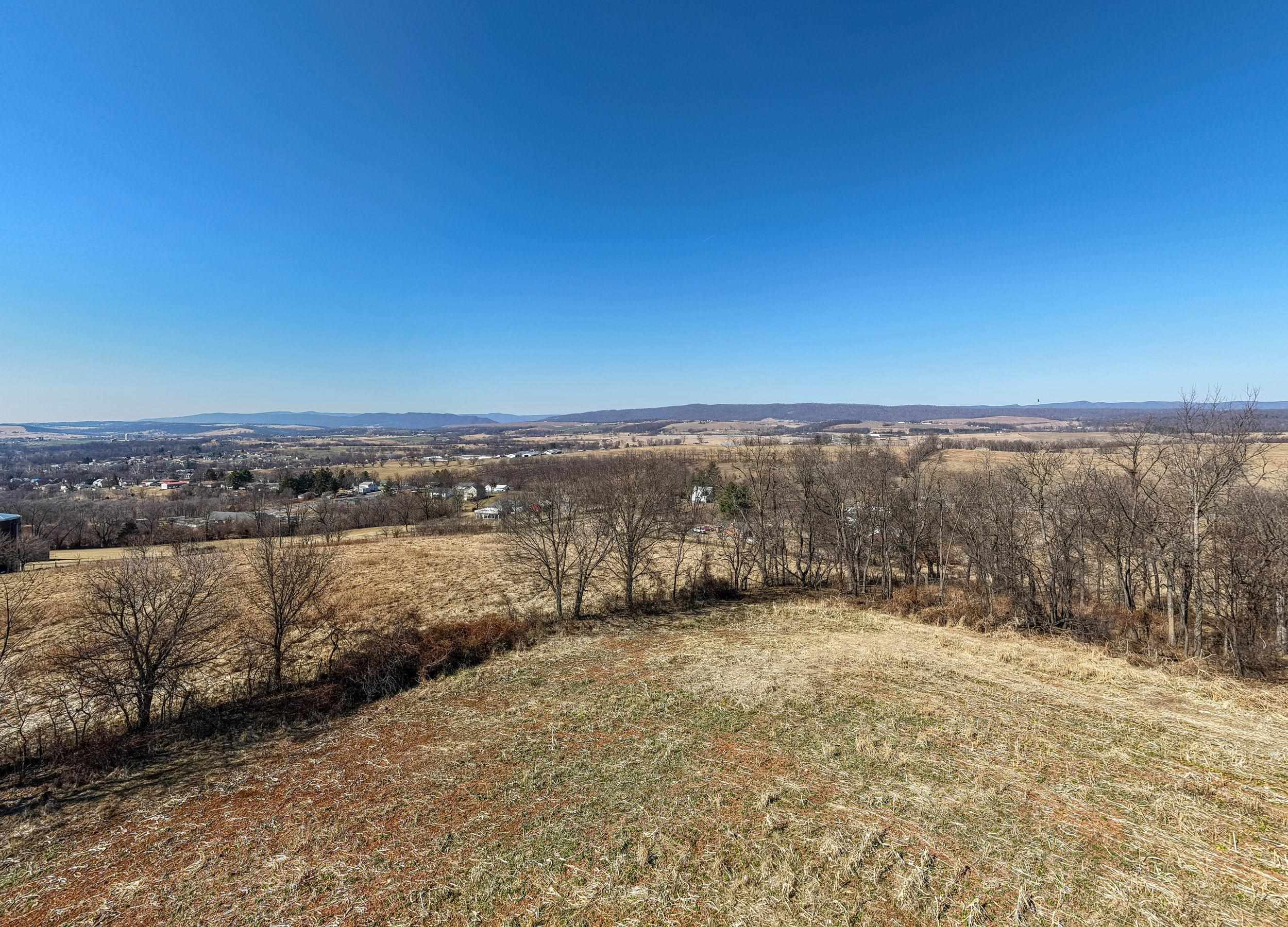 0 NEIGHBORS LN, TIMBERVILLE, Virginia 22853, ,Land,14,0 NEIGHBORS LN,673882 MLS # 673882