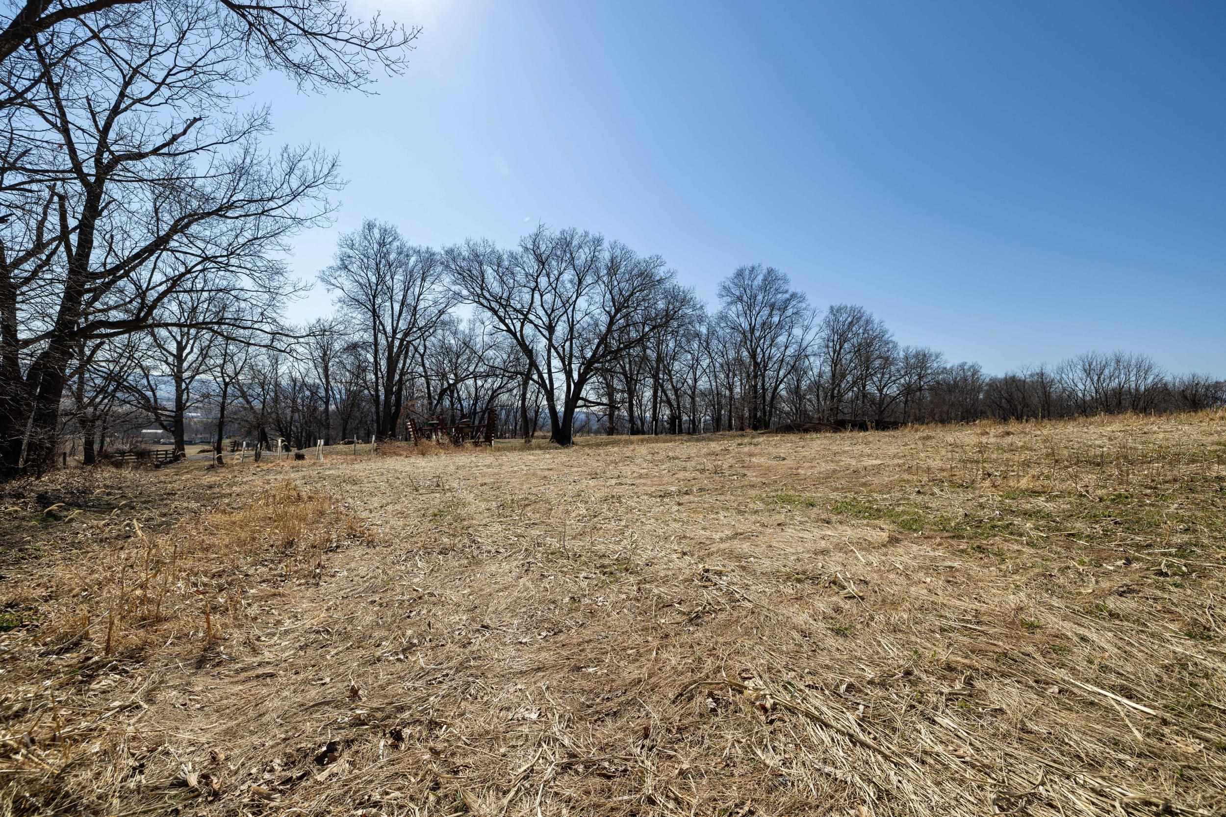 0 NEIGHBORS LN, TIMBERVILLE, Virginia 22853, ,Land,14,0 NEIGHBORS LN,673882 MLS # 673882