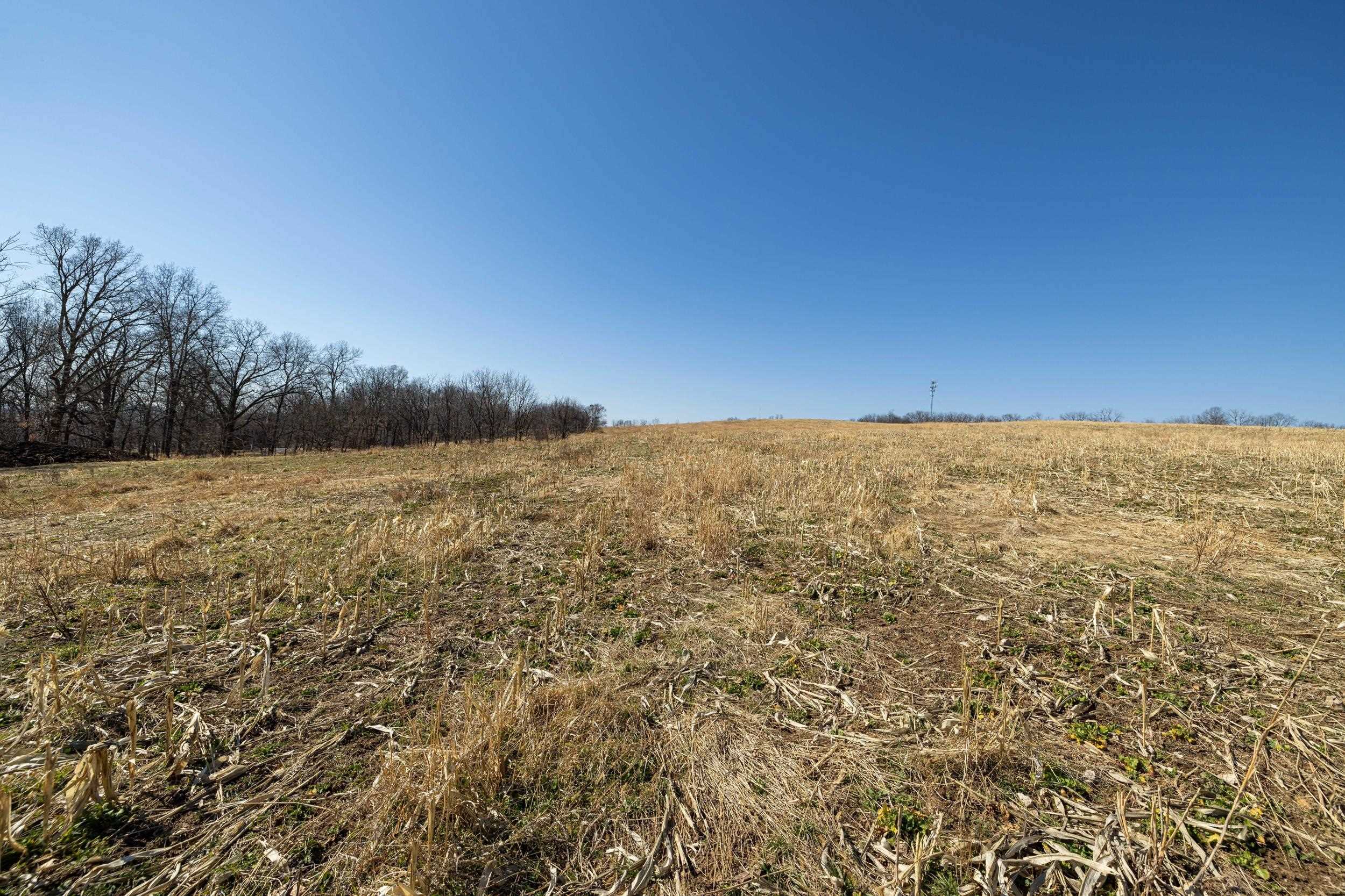 0 NEIGHBORS LN, TIMBERVILLE, Virginia 22853, ,Land,14,0 NEIGHBORS LN,673882 MLS # 673882