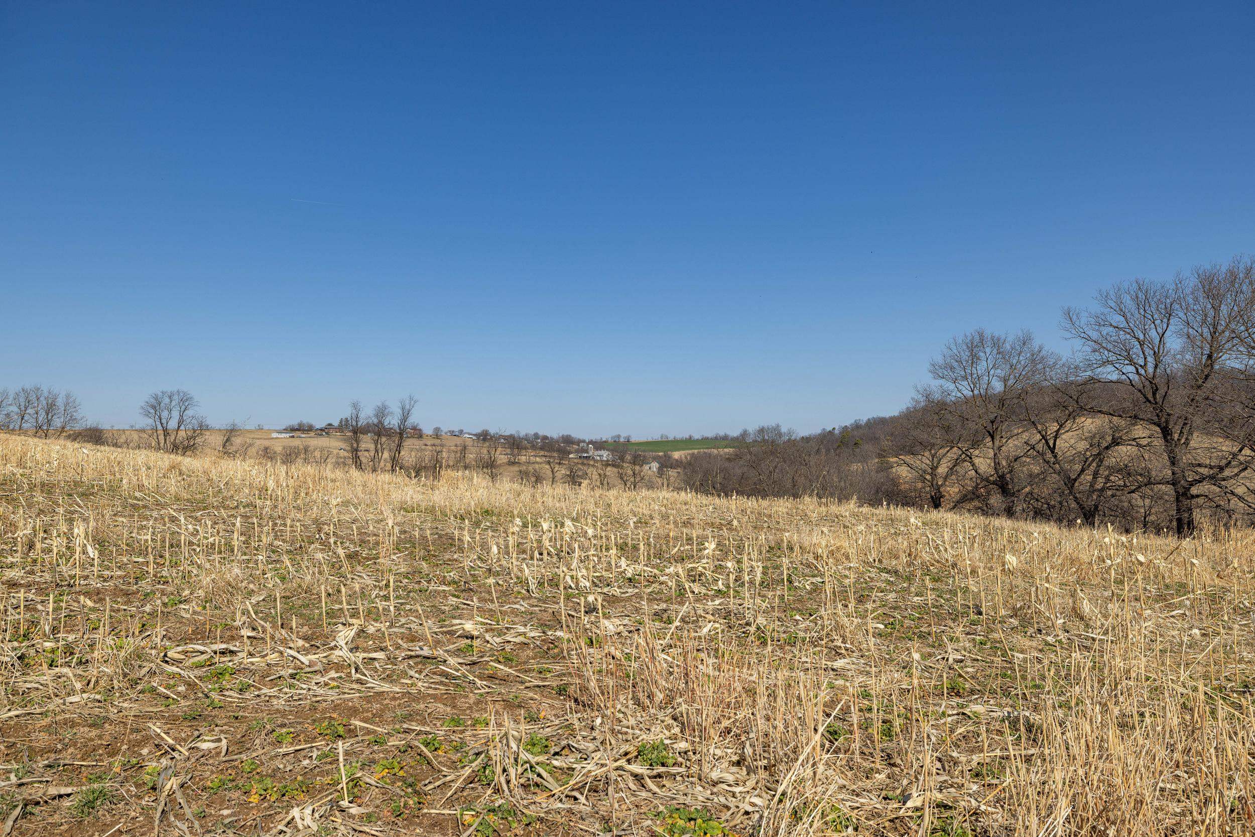 0 NEIGHBORS LN, TIMBERVILLE, Virginia 22853, ,Land,14,0 NEIGHBORS LN,673882 MLS # 673882