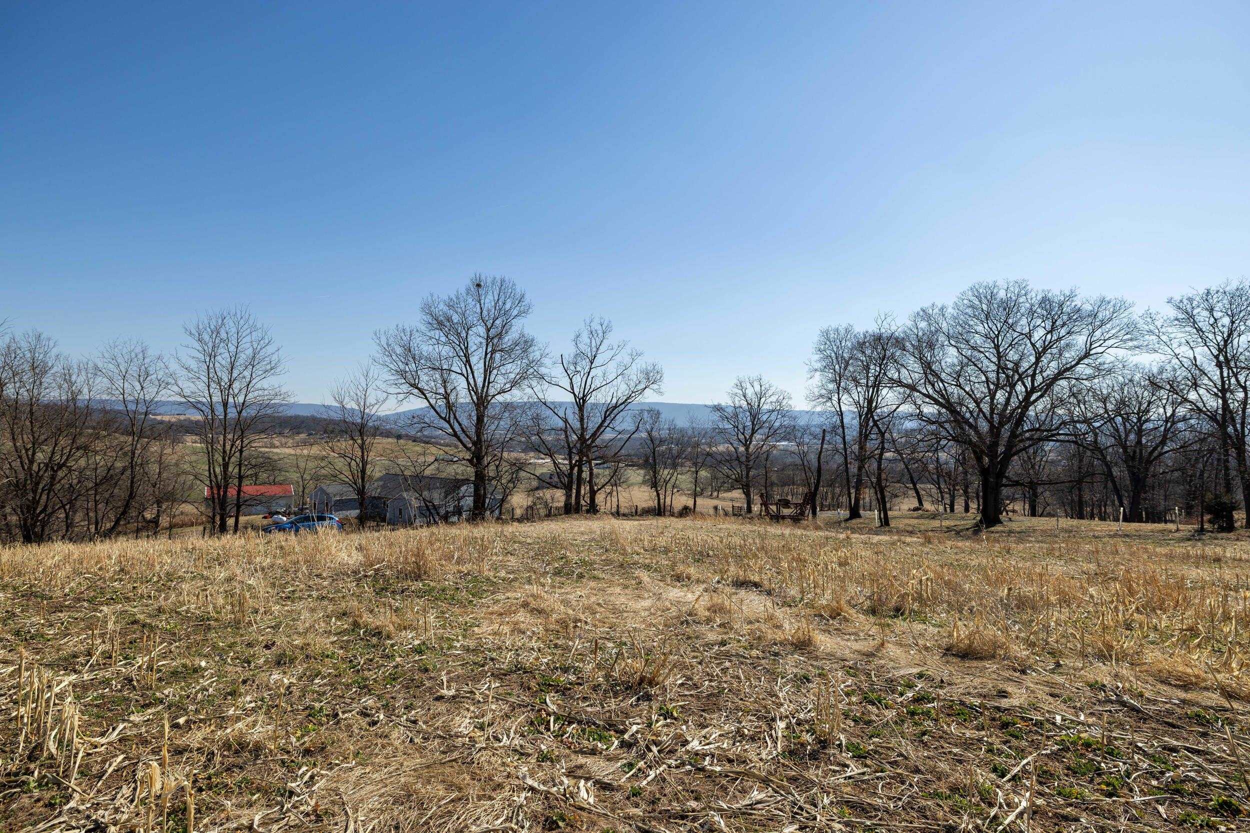 0 NEIGHBORS LN, TIMBERVILLE, Virginia 22853, ,Land,14,0 NEIGHBORS LN,673882 MLS # 673882