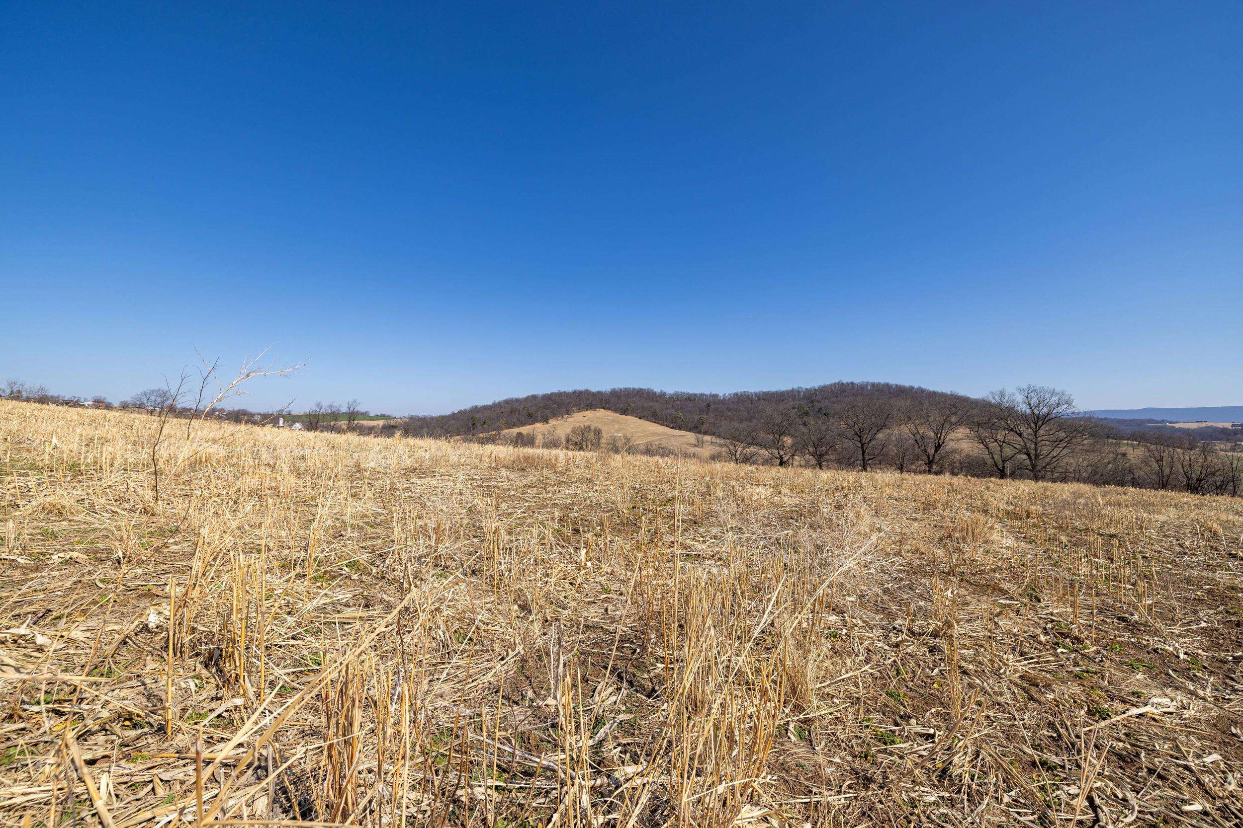 0 NEIGHBORS LN, TIMBERVILLE, Virginia 22853, ,Land,14,0 NEIGHBORS LN,673882 MLS # 673882
