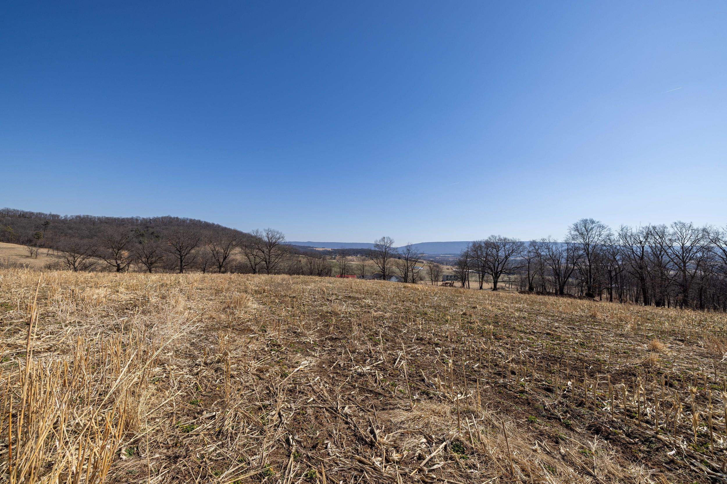 0 NEIGHBORS LN, TIMBERVILLE, Virginia 22853, ,Land,14,0 NEIGHBORS LN,673882 MLS # 673882