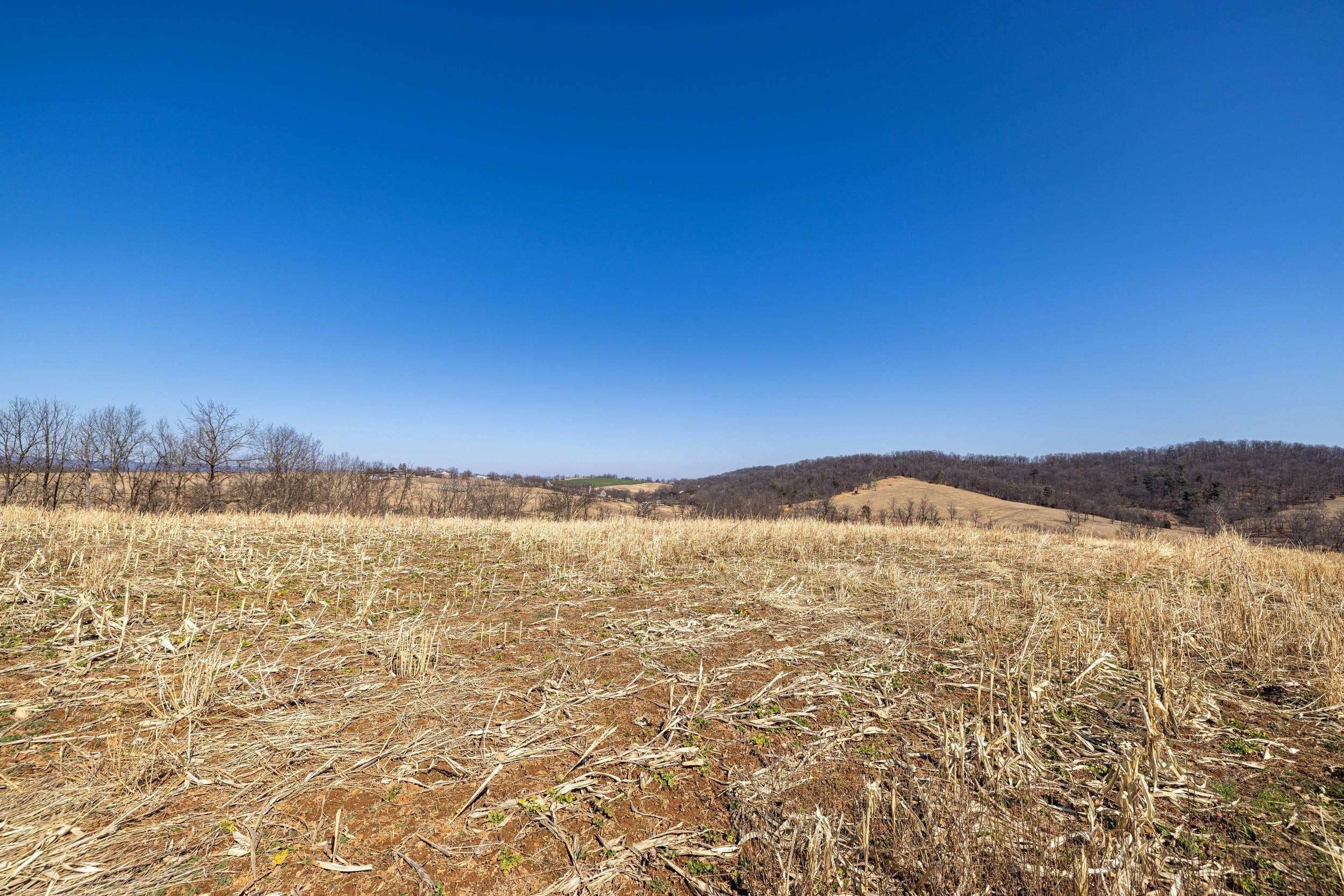 0 NEIGHBORS LN, TIMBERVILLE, Virginia 22853, ,Land,14,0 NEIGHBORS LN,673882 MLS # 673882