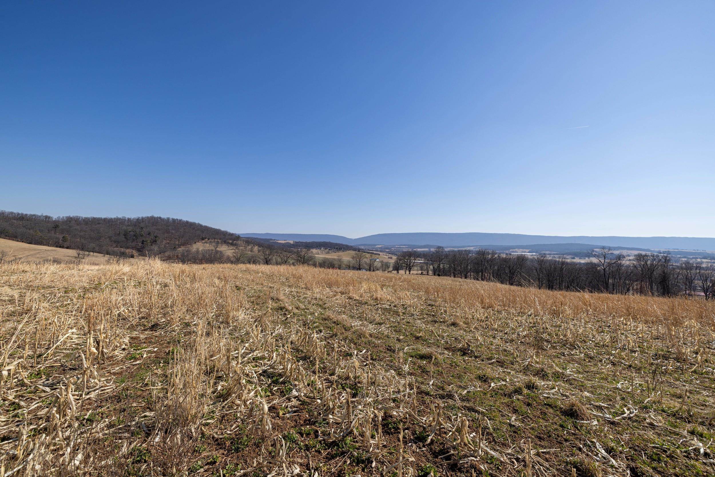 0 NEIGHBORS LN, TIMBERVILLE, Virginia 22853, ,Land,14,0 NEIGHBORS LN,673882 MLS # 673882
