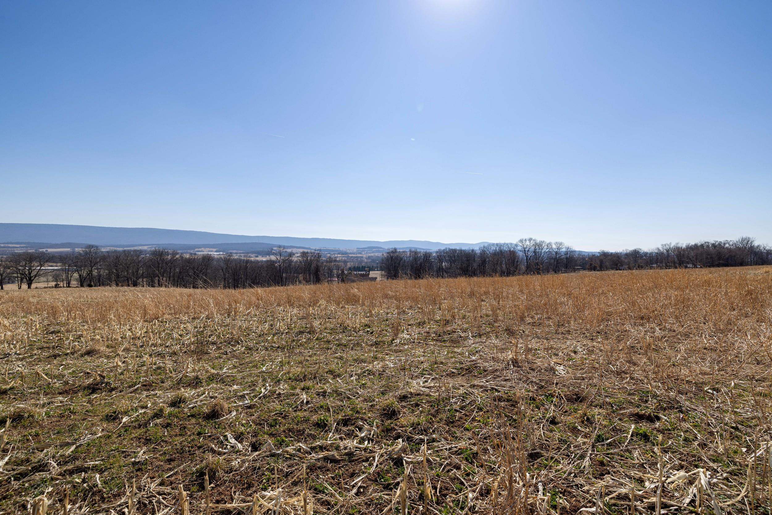 0 NEIGHBORS LN, TIMBERVILLE, Virginia 22853, ,Land,14,0 NEIGHBORS LN,673882 MLS # 673882