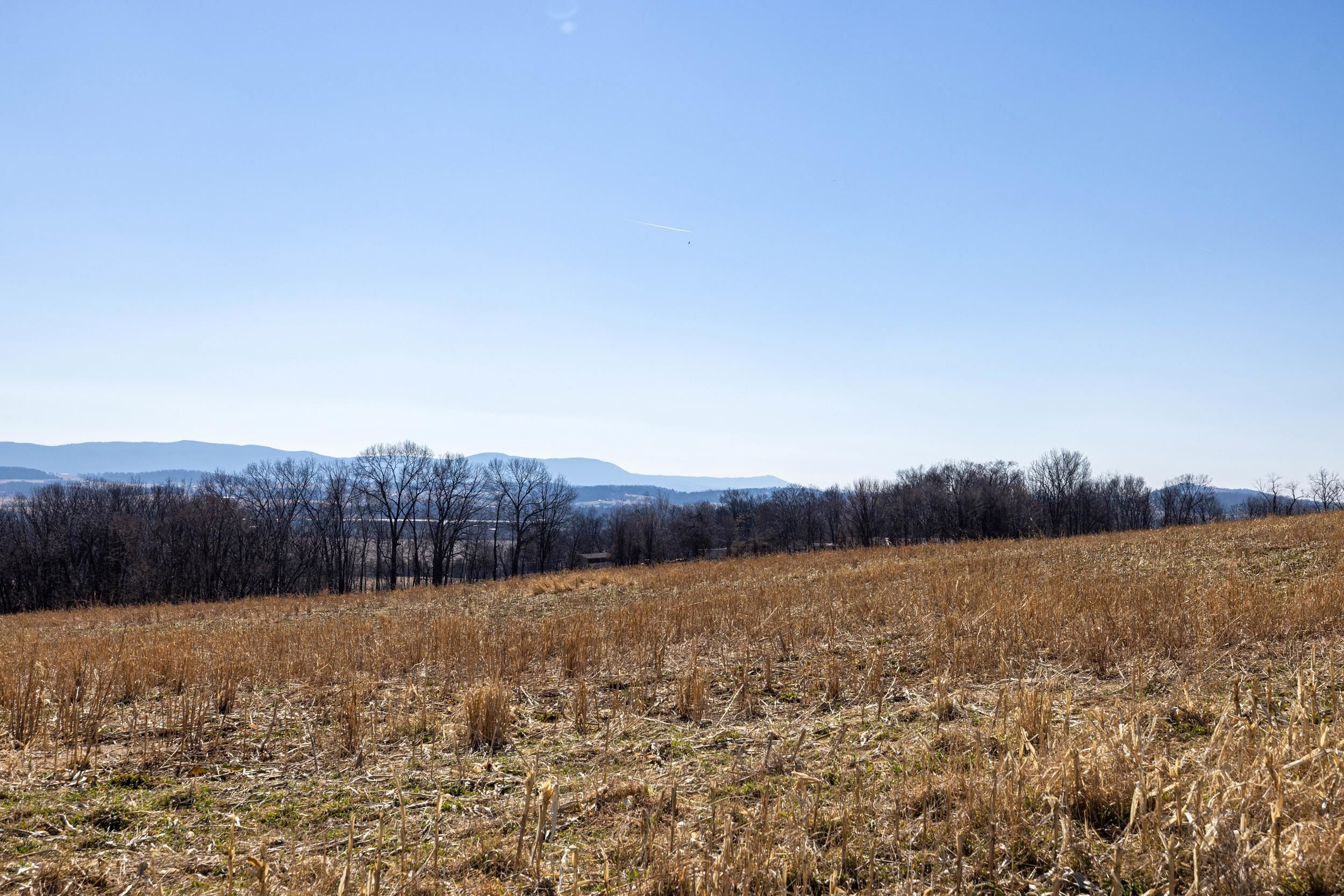 0 NEIGHBORS LN, TIMBERVILLE, Virginia 22853, ,Land,14,0 NEIGHBORS LN,673882 MLS # 673882