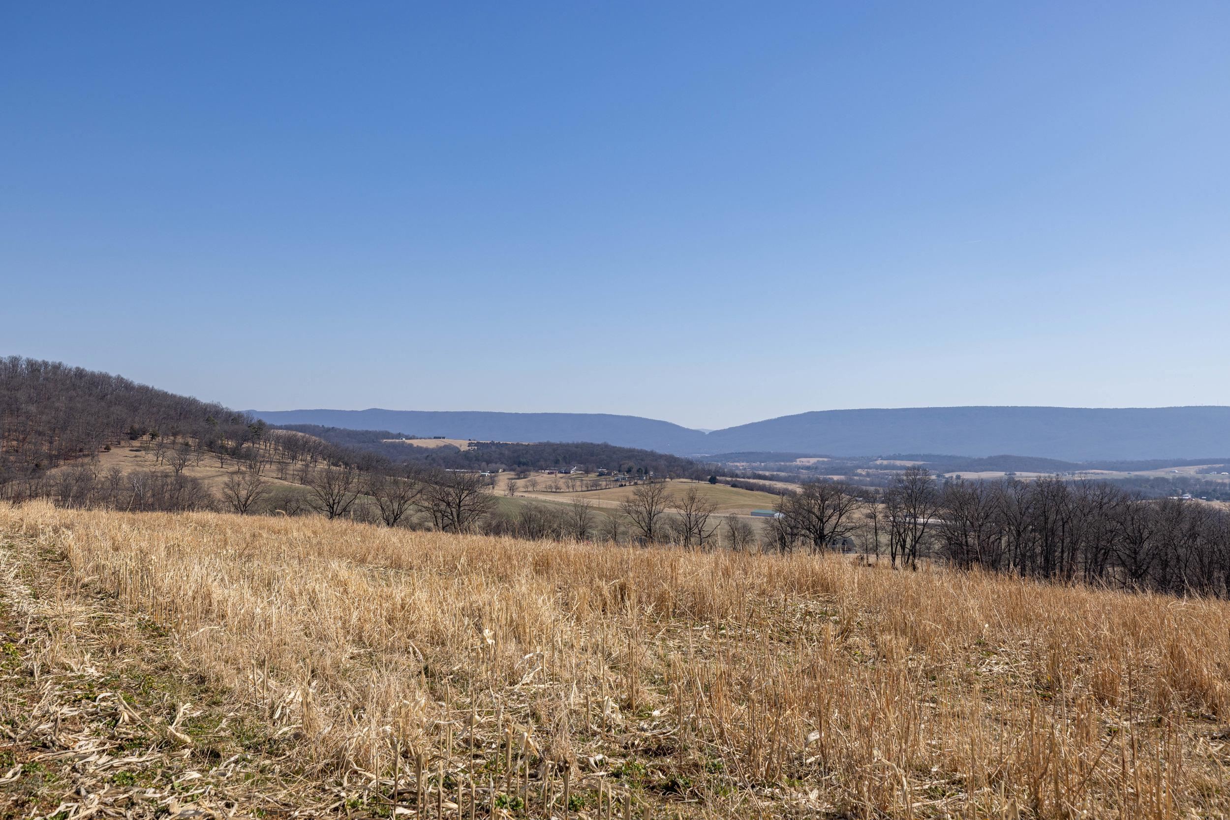 0 NEIGHBORS LN, TIMBERVILLE, Virginia 22853, ,Land,14,0 NEIGHBORS LN,673882 MLS # 673882