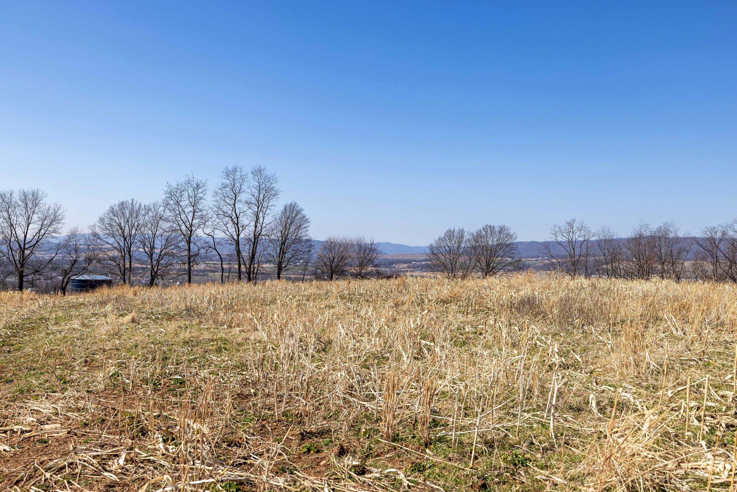 0 NEIGHBORS LN, TIMBERVILLE, Virginia 22853, ,Land,14,0 NEIGHBORS LN,673882 MLS # 673882