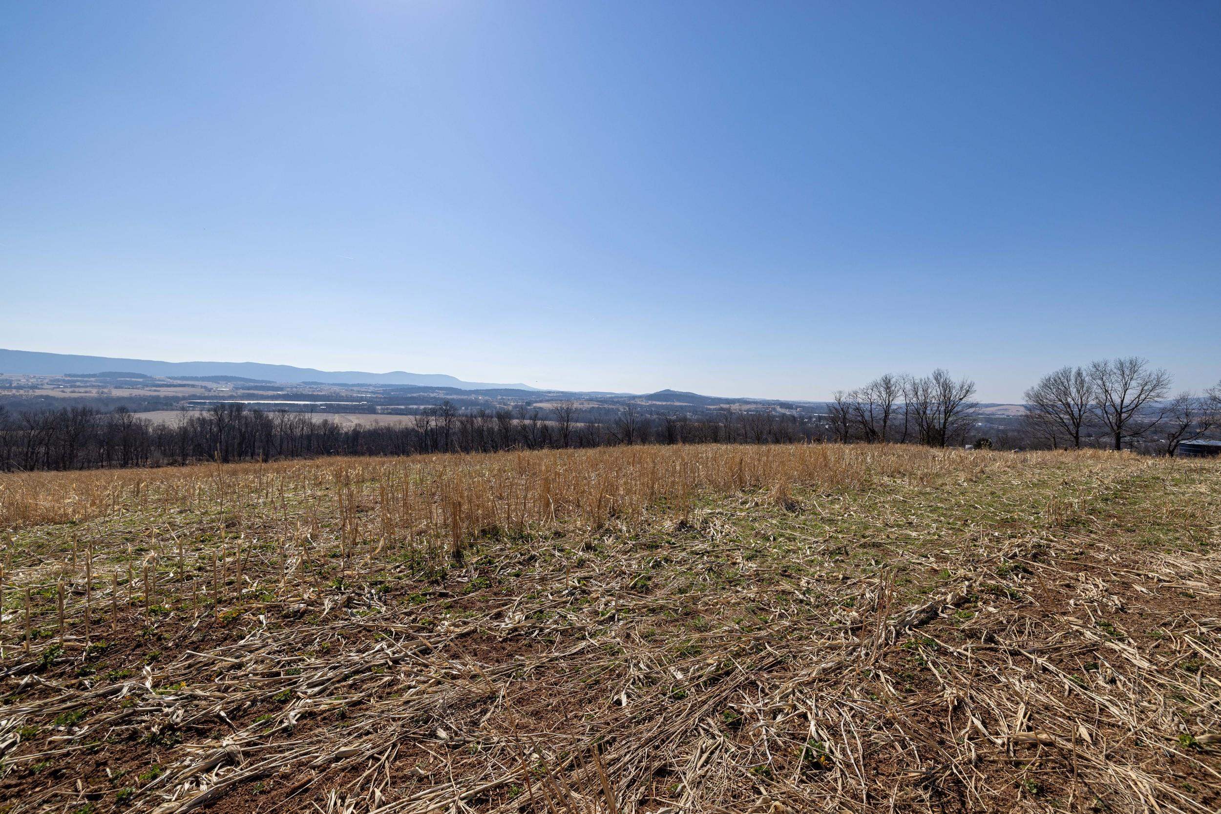 0 NEIGHBORS LN, TIMBERVILLE, Virginia 22853, ,Land,14,0 NEIGHBORS LN,673882 MLS # 673882